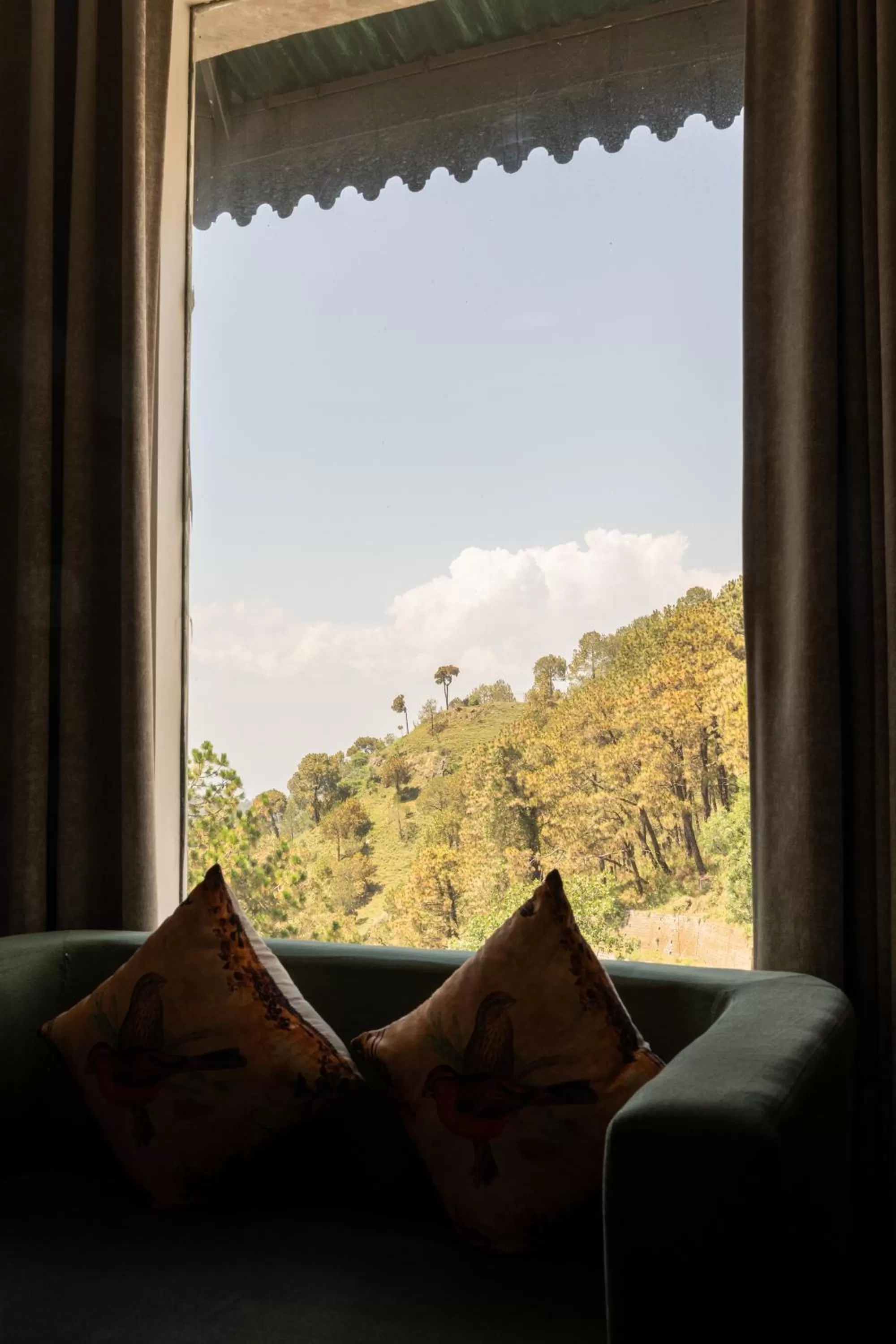 Natural landscape in Hotel Kasauli Regency Stags Not Allowed