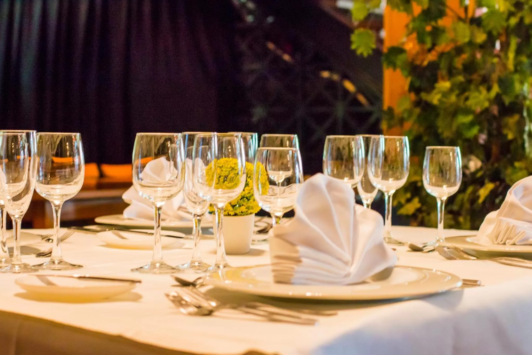 Banquet/Function facilities in Magic Cristal Park