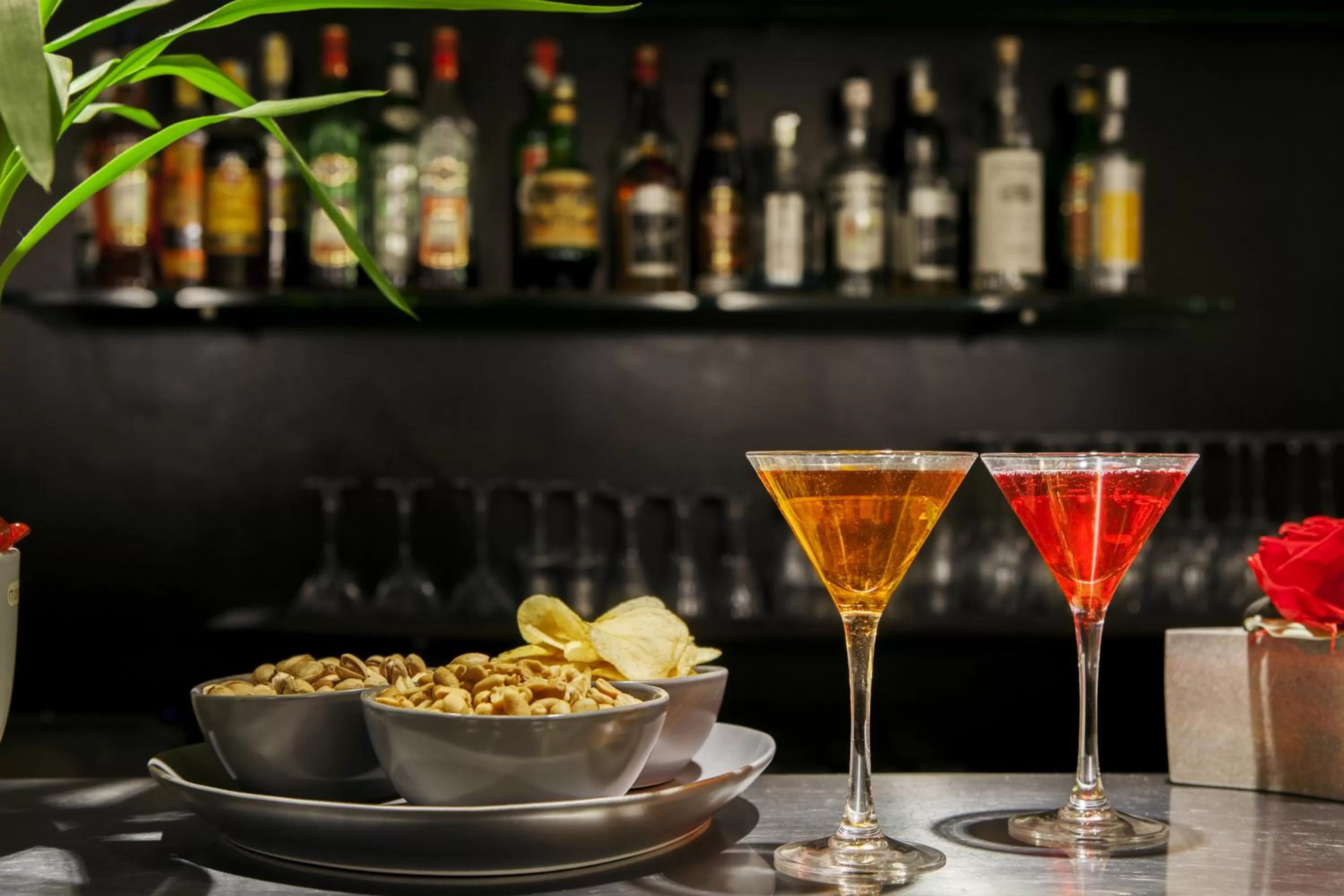 Alcoholic drinks in Hotel Hambros - Il Parco in Villa Banchieri