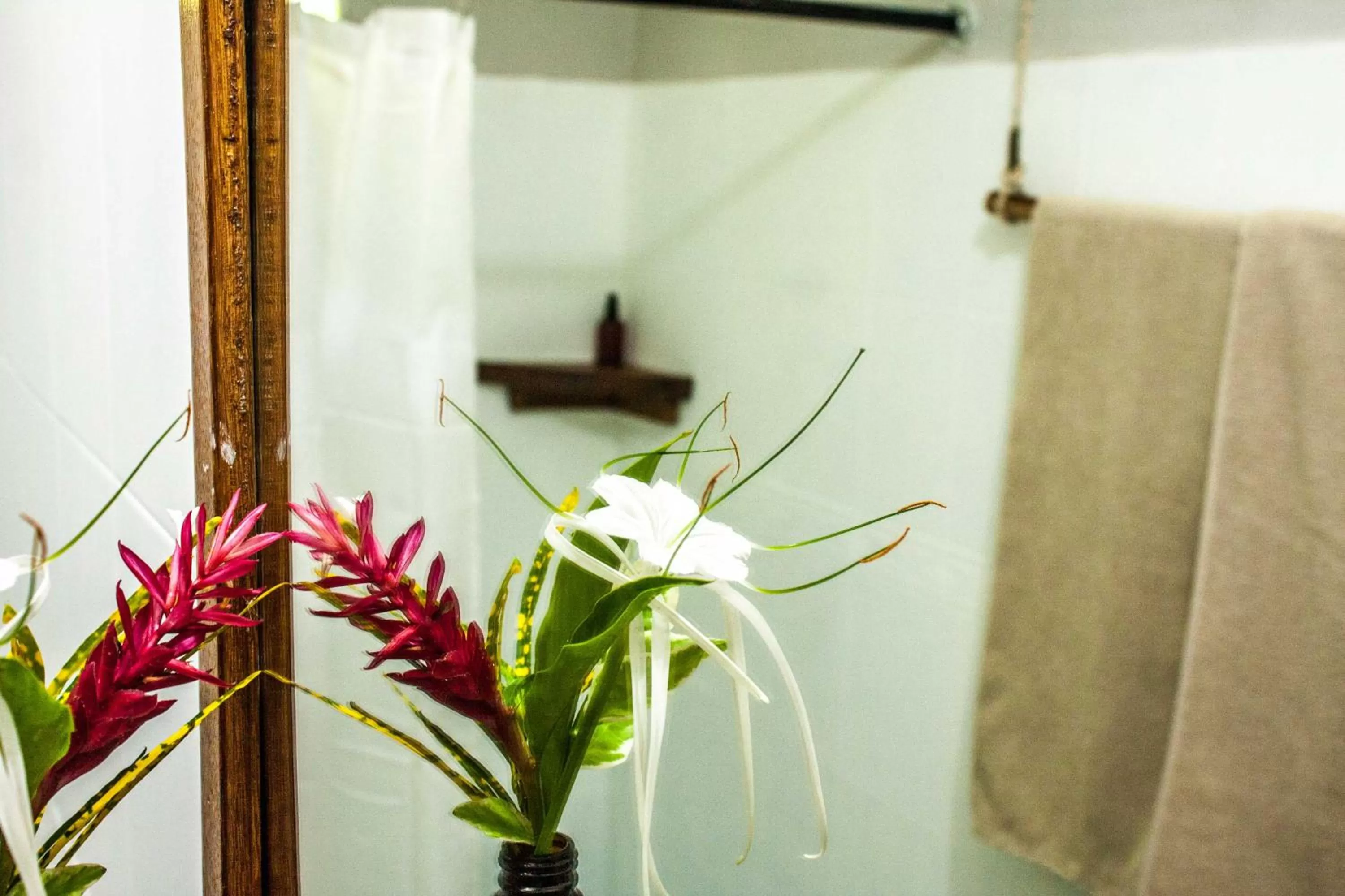 TV/Entertainment Center in Doña Mara Gastro Hotel