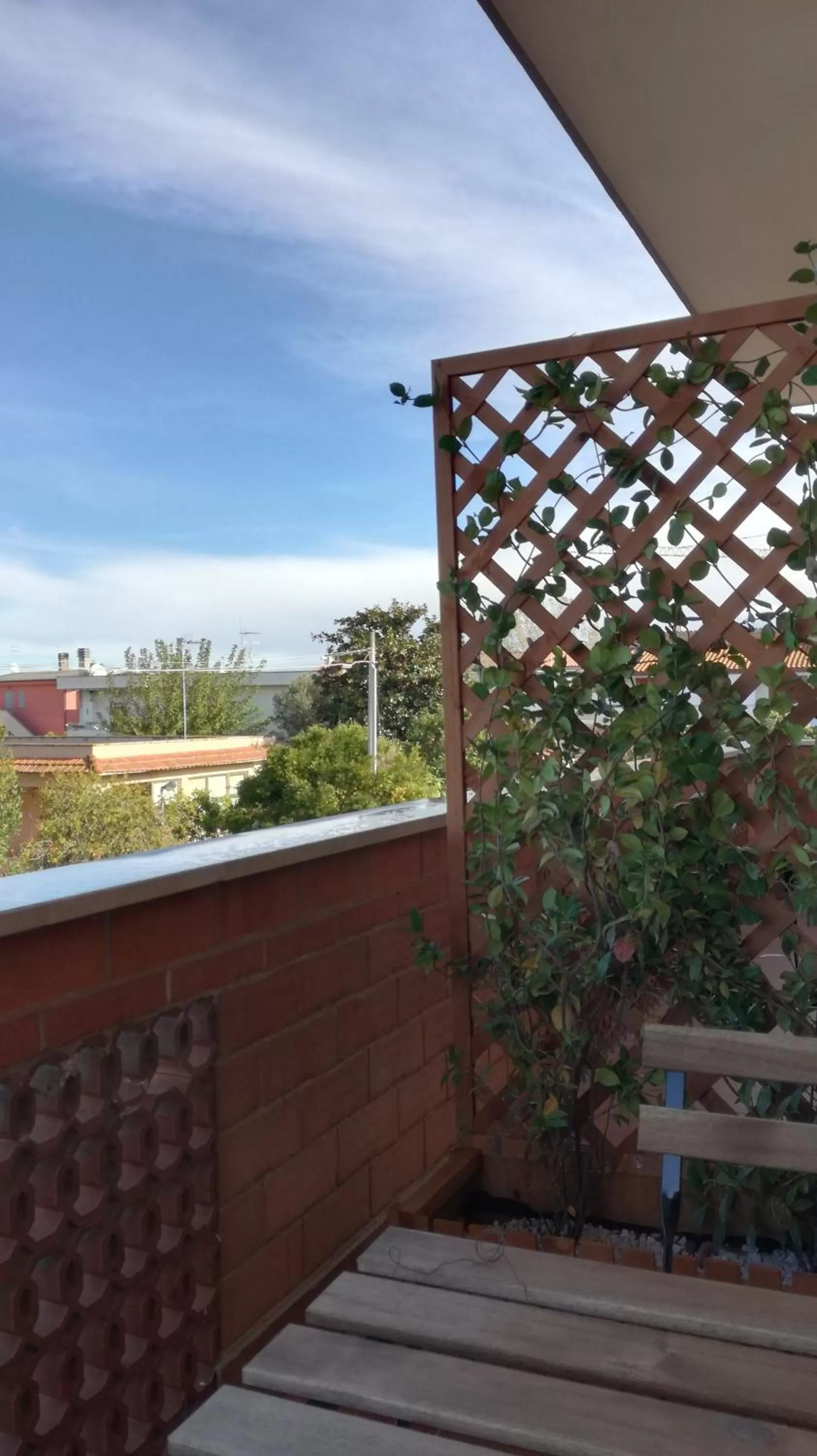 Property building in Bonsai Bed & Breakfast