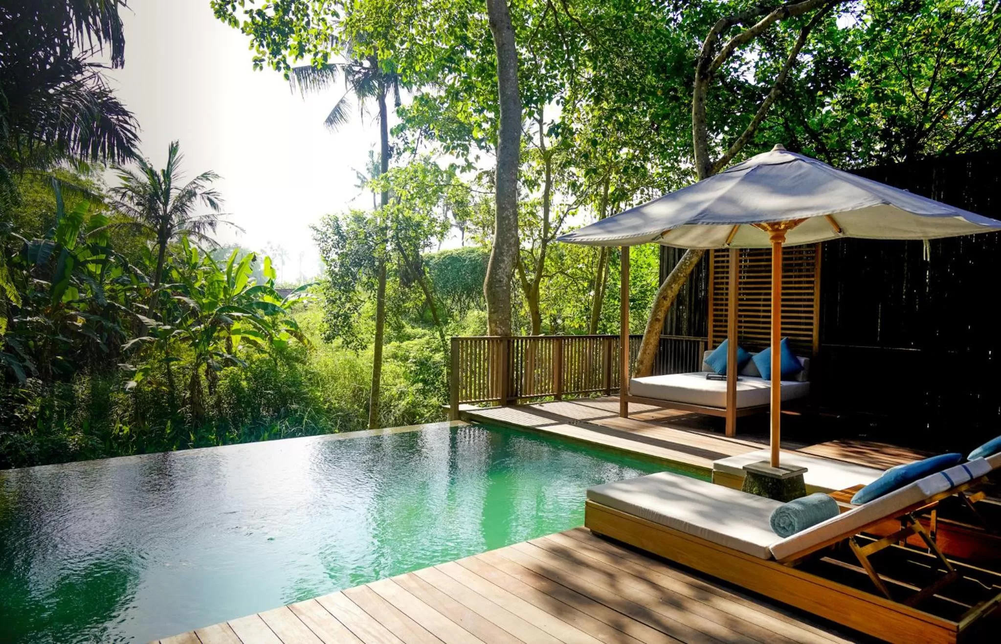 Swimming pool in Nirjhara