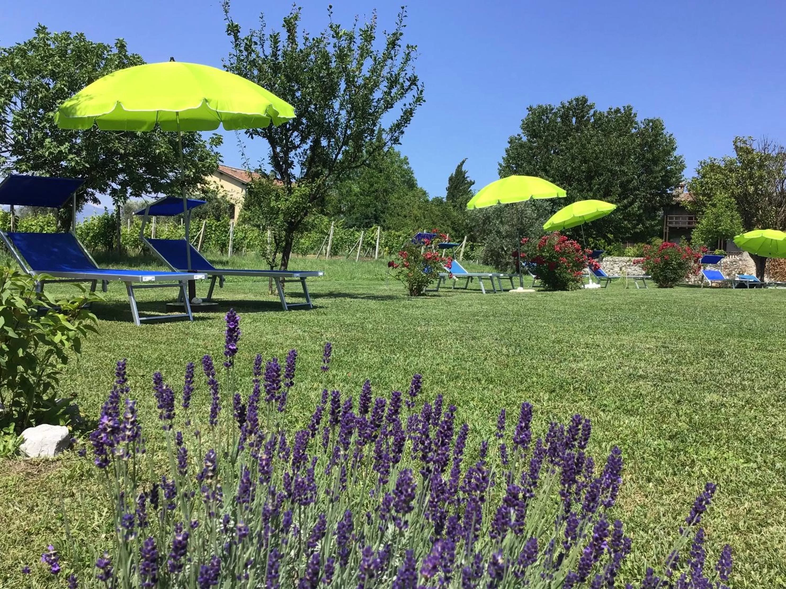 Garden in La Casa Di Campagna Sul Garda