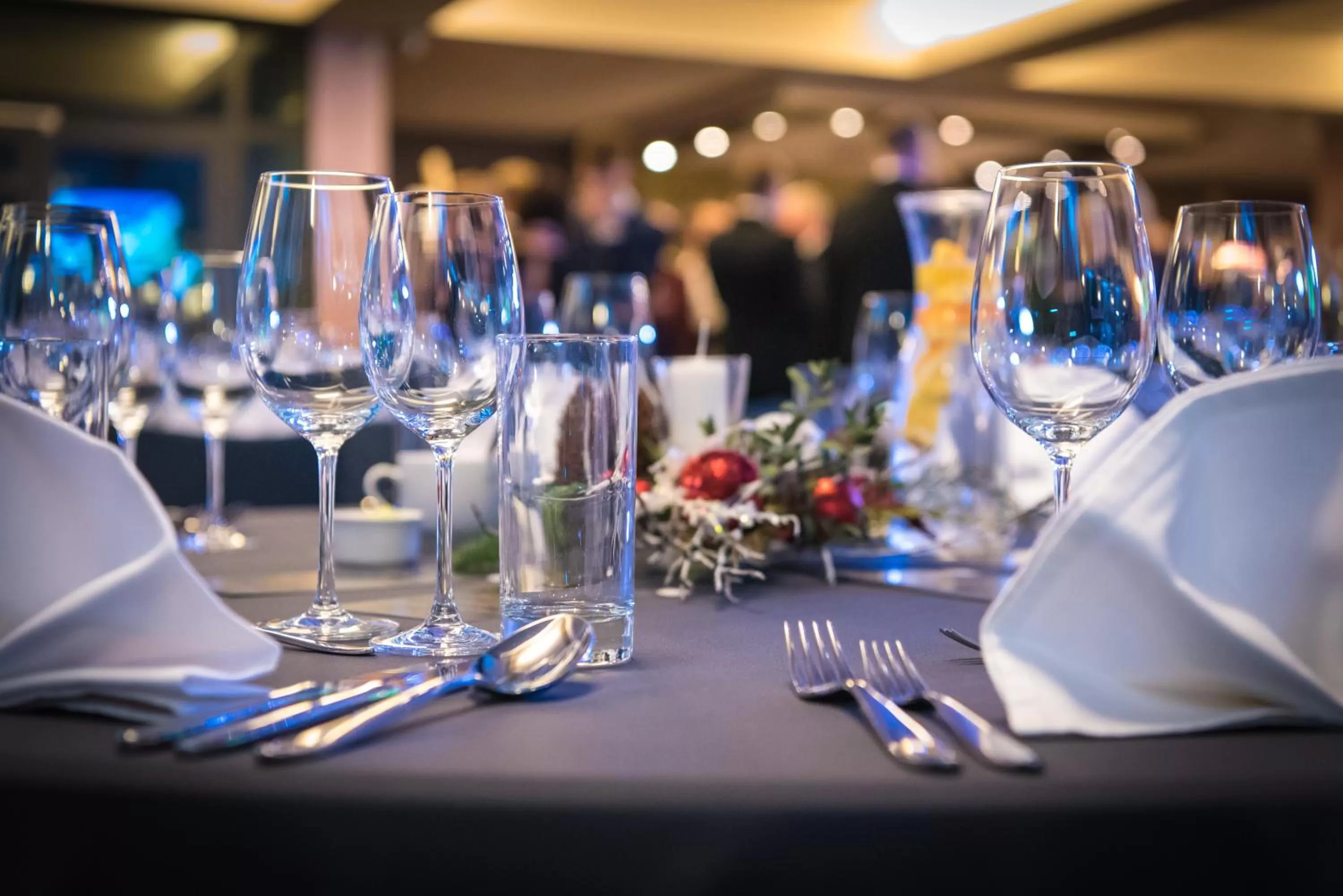 Restaurant/places to eat in Hotel Tigra