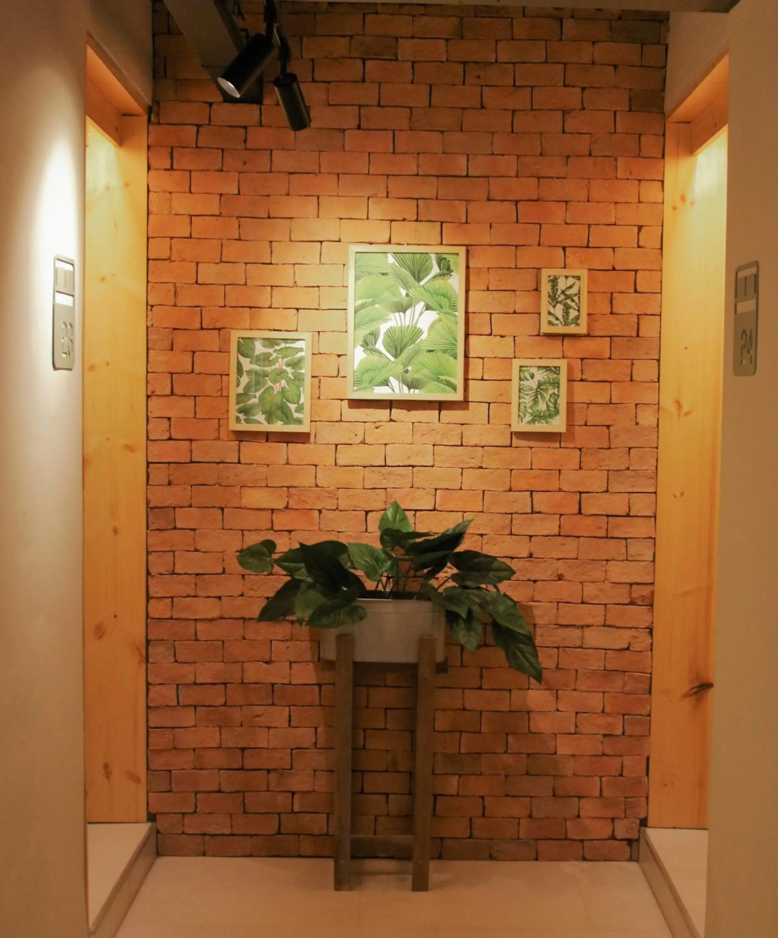 Property building in P24 at Kaset