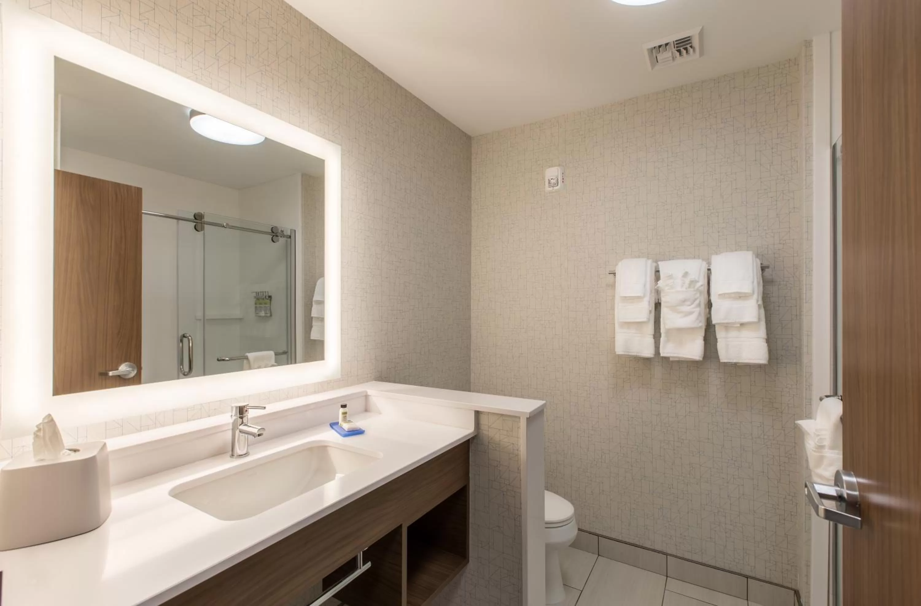 Bathroom in Holiday Inn Express & Suites Greenville S - Piedmont by IHG