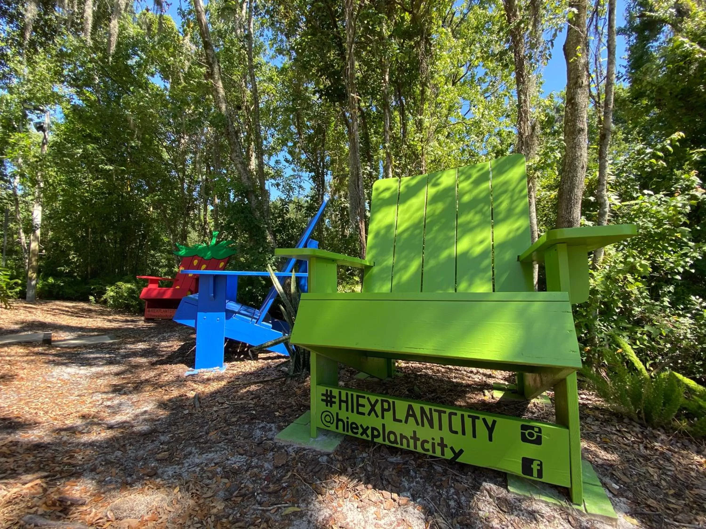Decorative detail in Holiday Inn Express & Suites Plant City by IHG