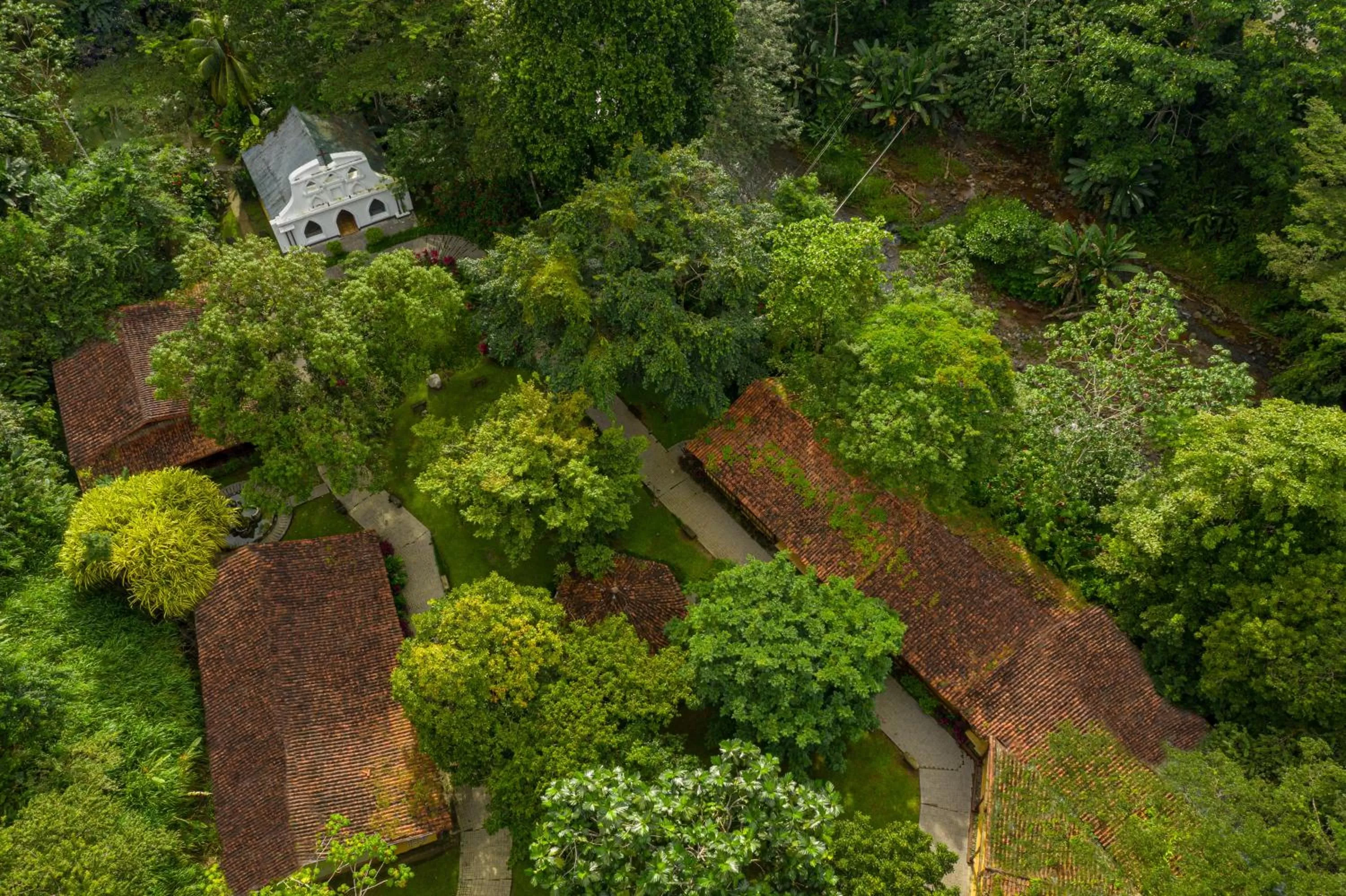 Natural landscape in Villa Lapas Jungle Village