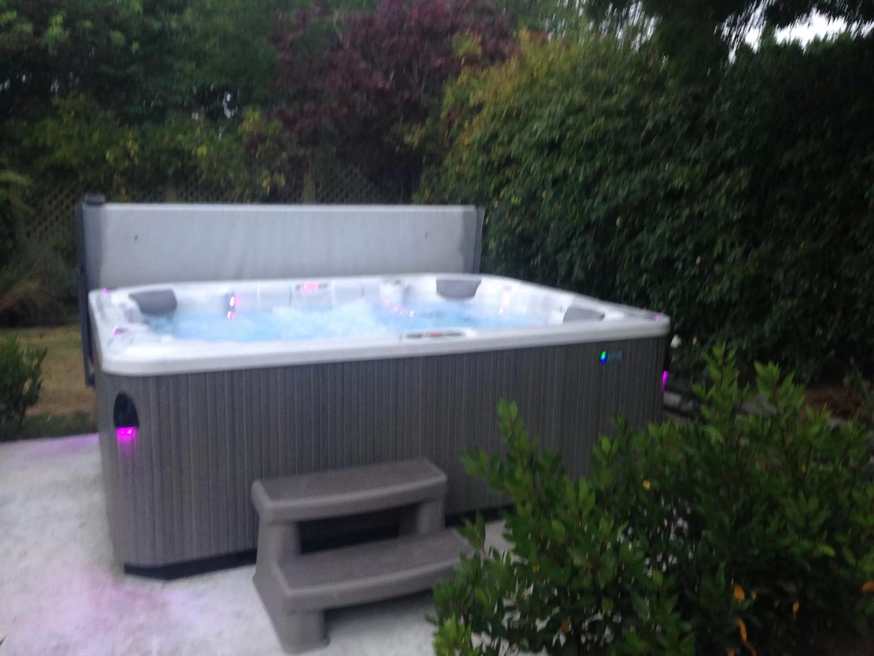 Garden in Newlands Bed and Breakfast