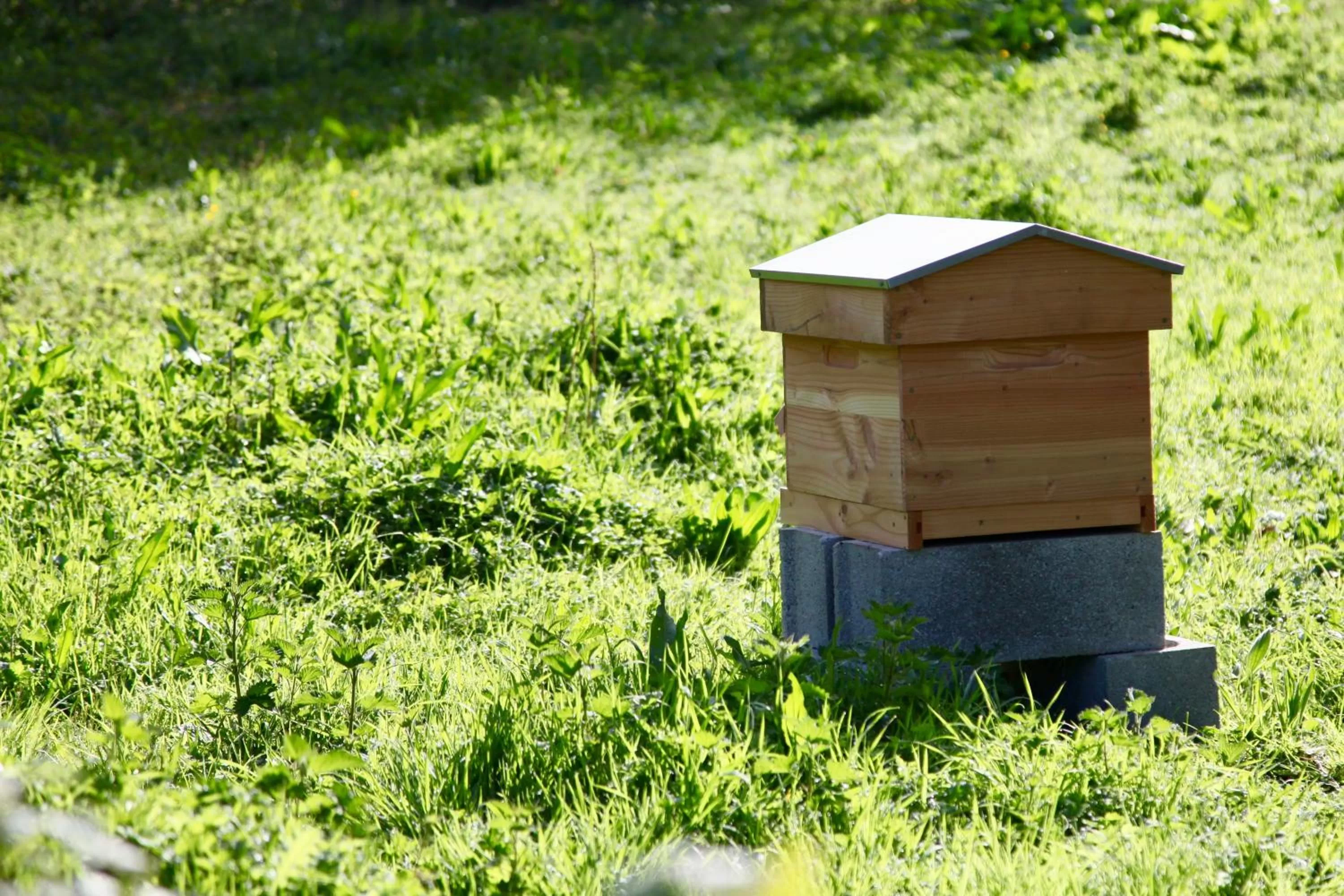 Area and facilities in Kyriad Lannion-Perros-Guirec