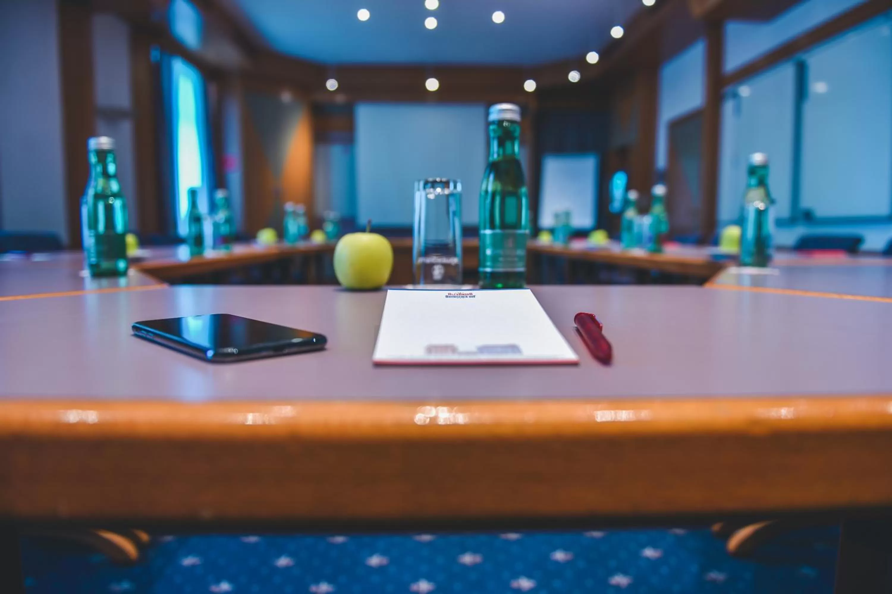 Meeting/conference room in Hotel Alexandra