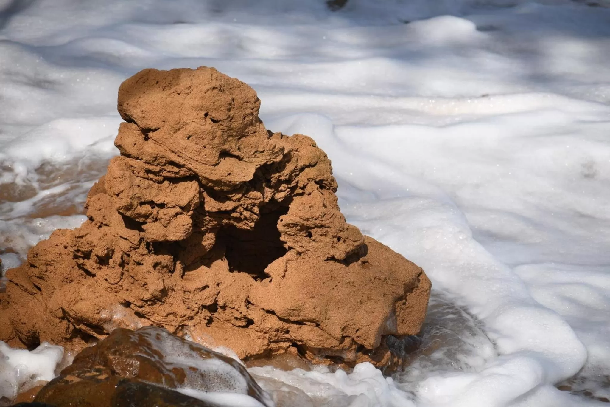 Selva Boutique Hotel - Luquillo Oceanfront Retreat - Adults Only