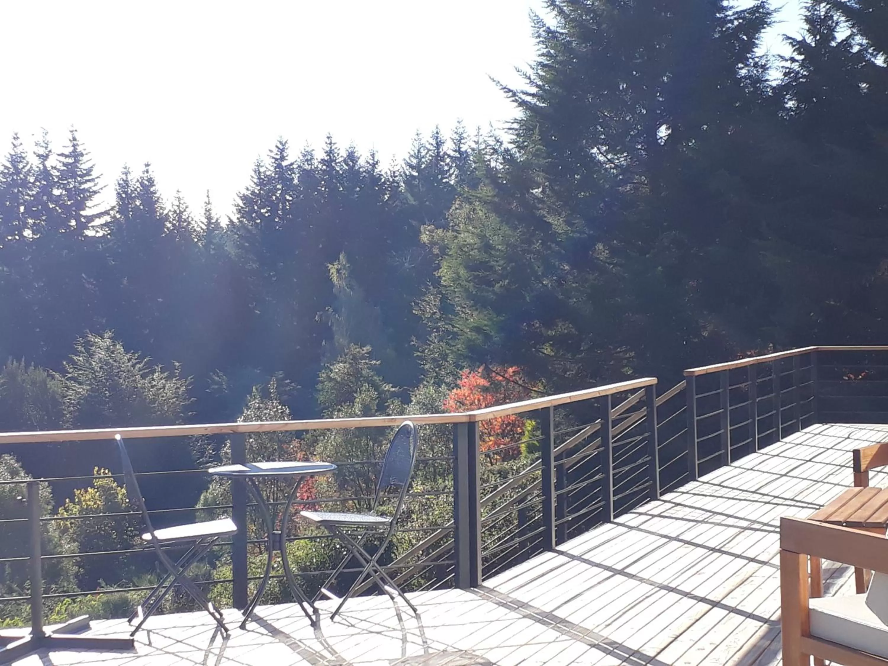 Balcony/Terrace in Amigos del Bosque