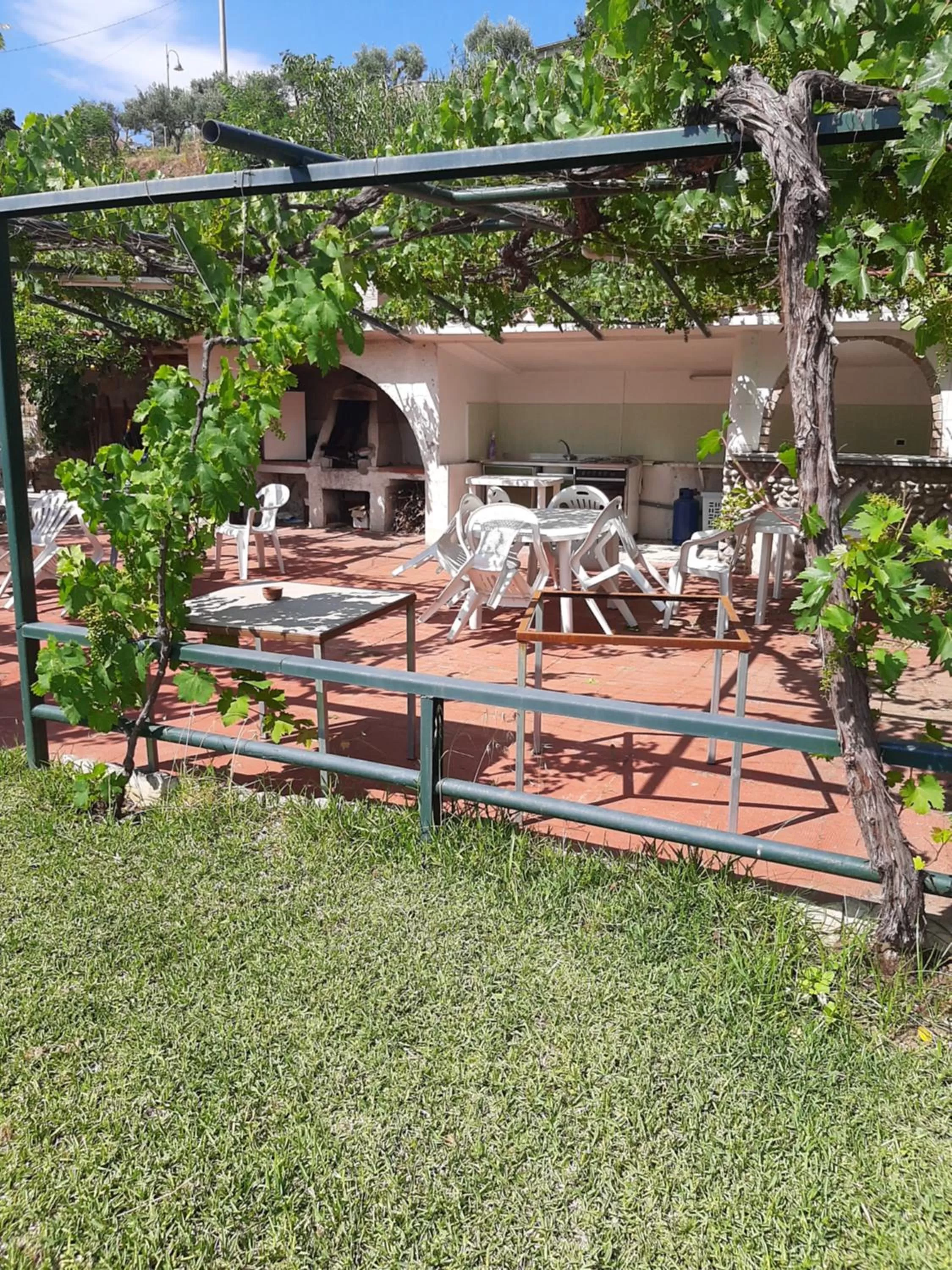 Garden in Hotel Conca d'Oro