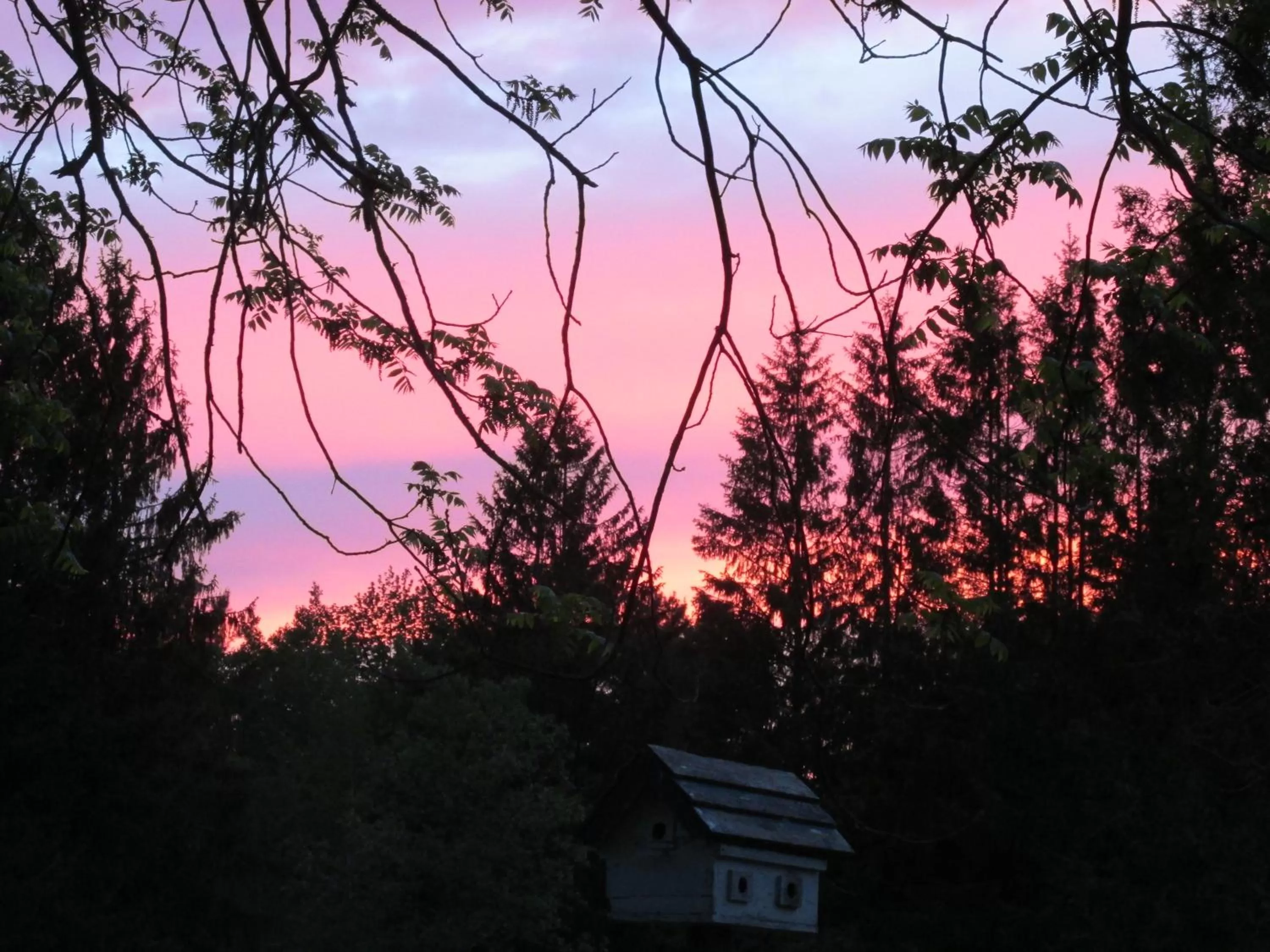 Sunrise/Sunset in Burnbrae Farm & Paradise Inn