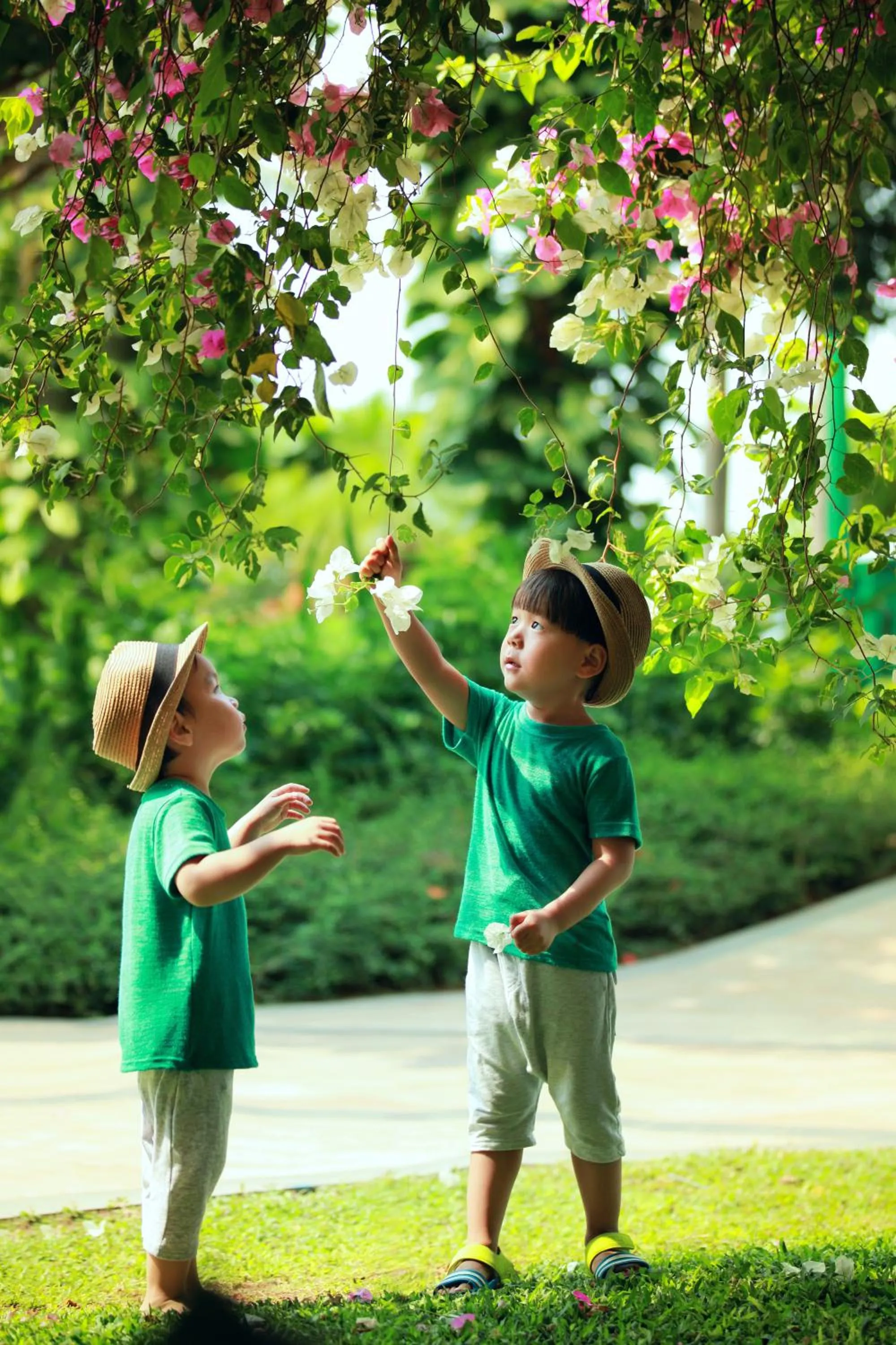 Spring in Horizon Resort & Spa Yalong Bay-Yalong Bay Central