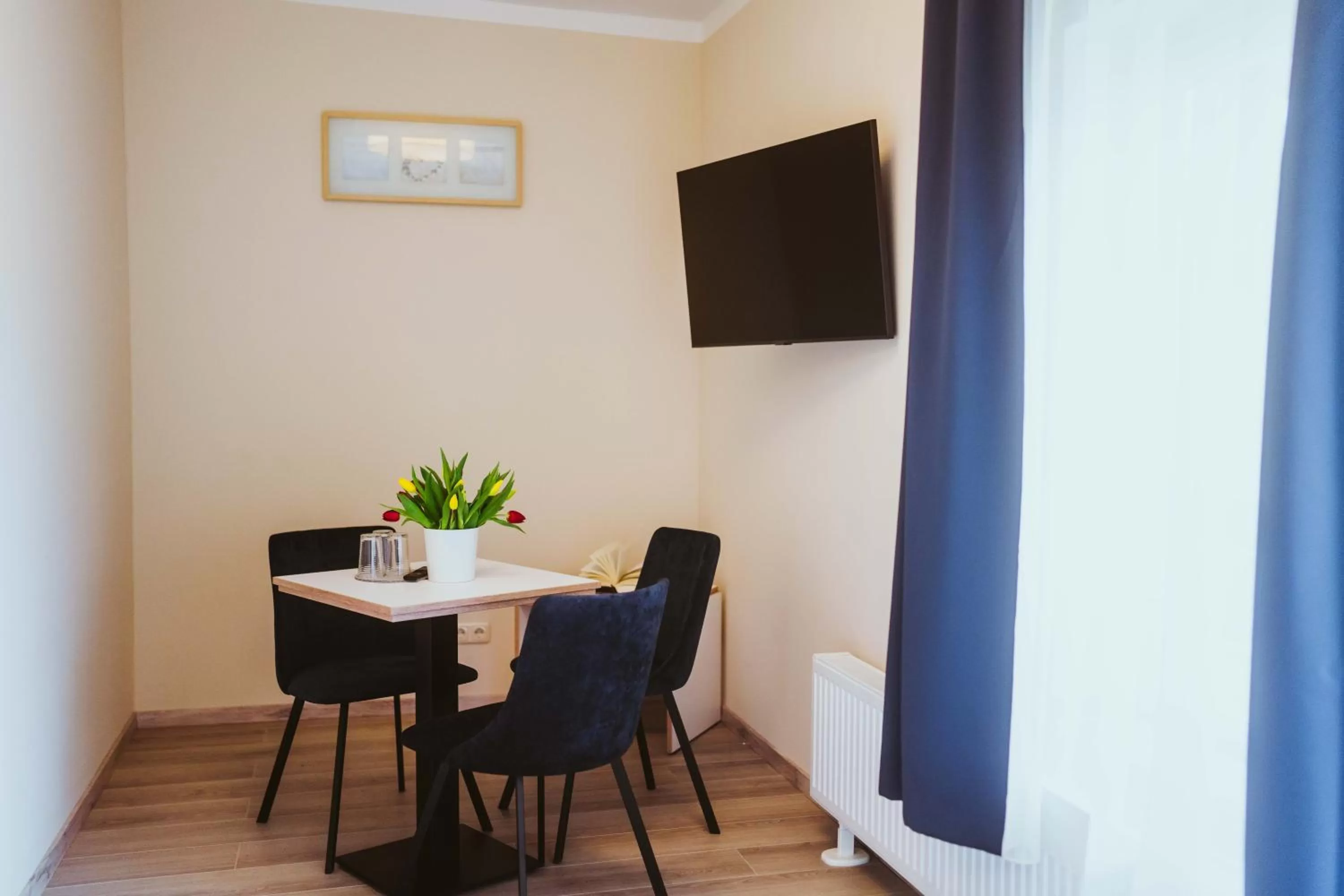 TV and multimedia in Aparthotel Stralsund Studios und Apartments