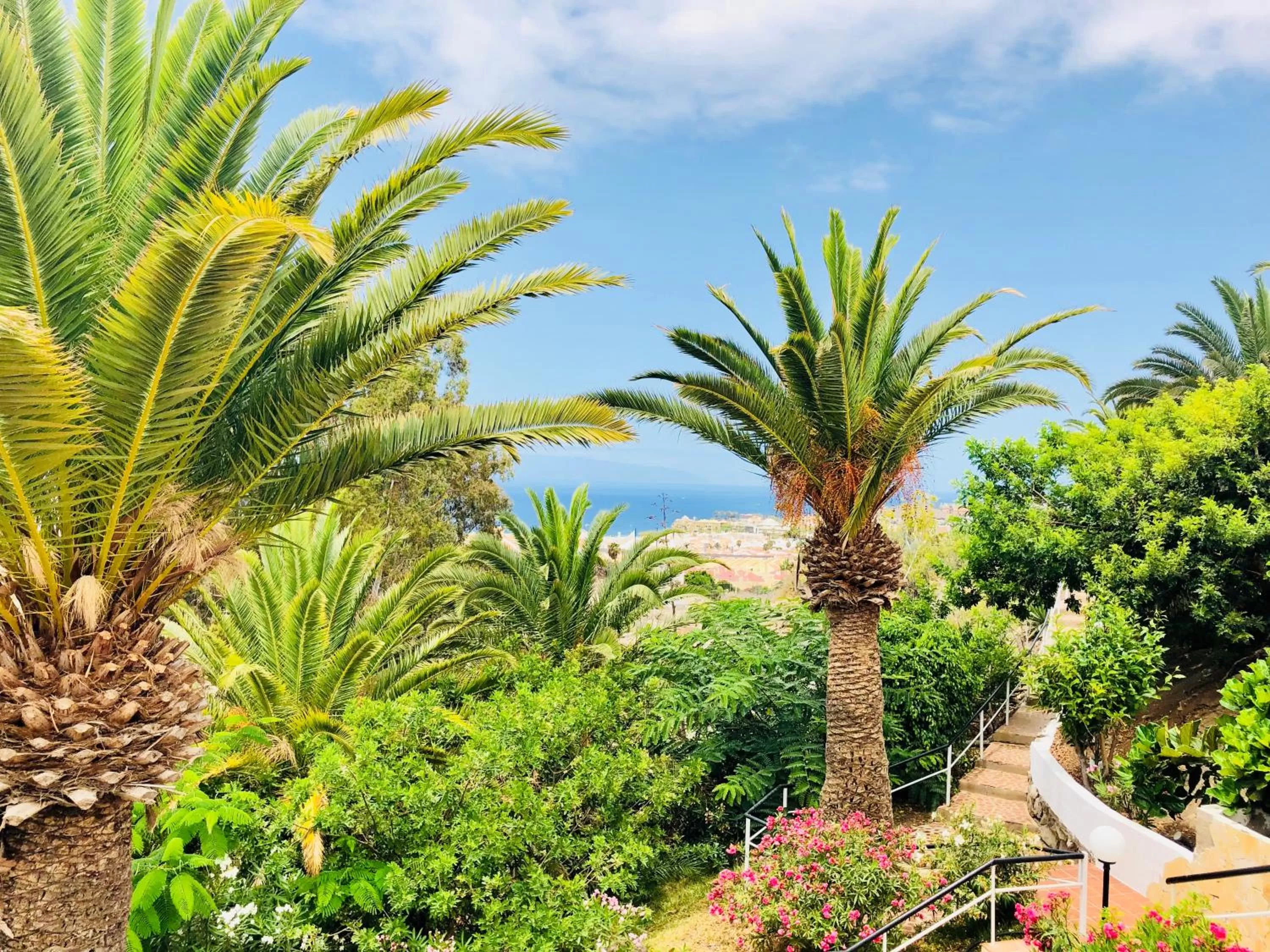 Garden in Regency Torviscas Apartments and Suites