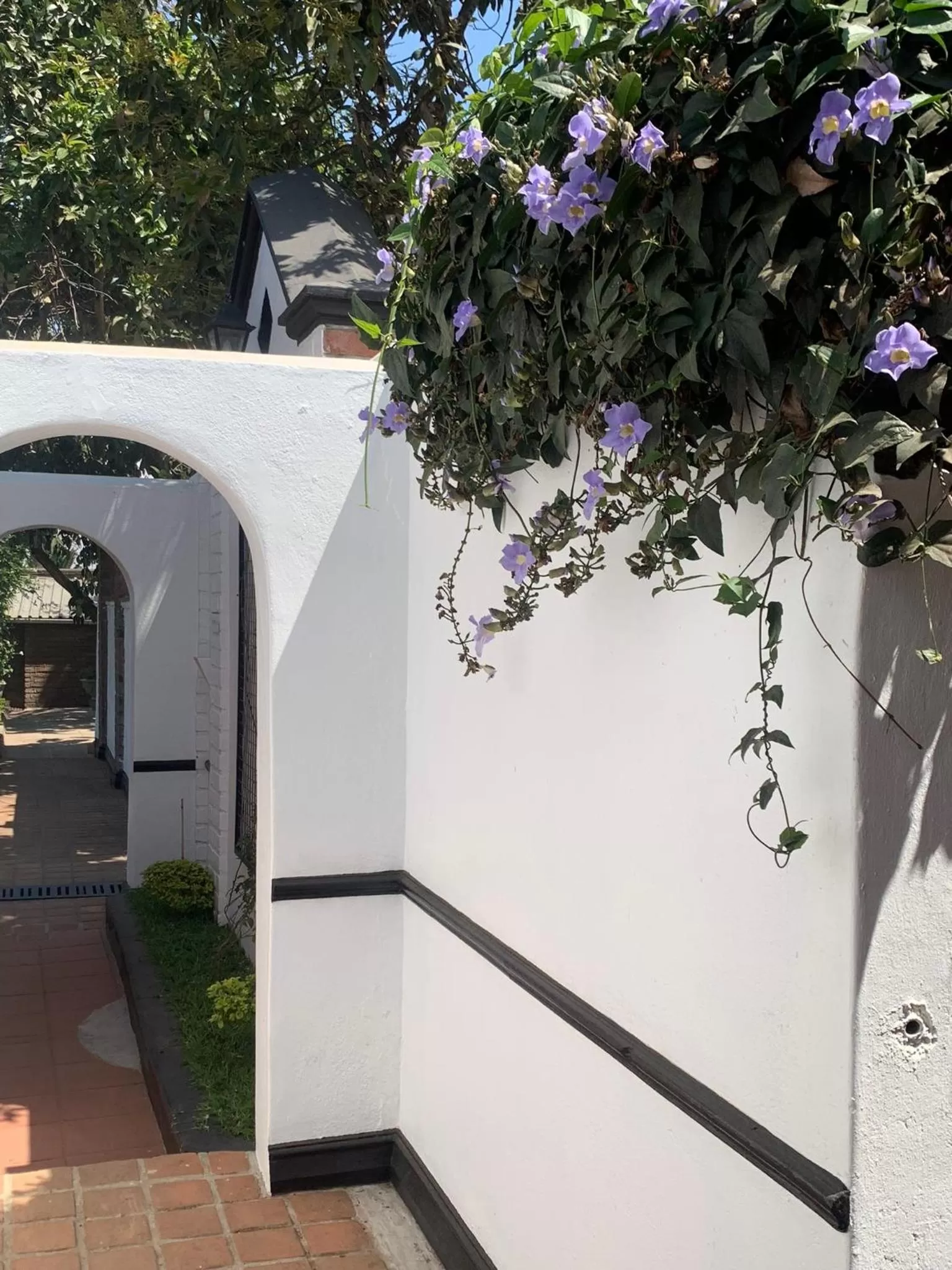 The Leslie - Bed & Breakfast