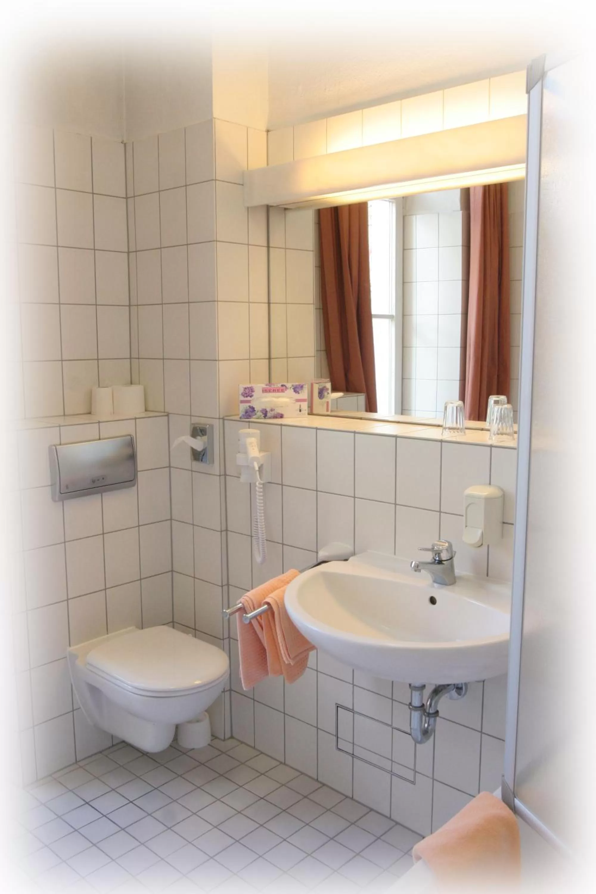 Toilet in Hotel Schloss Hornberg