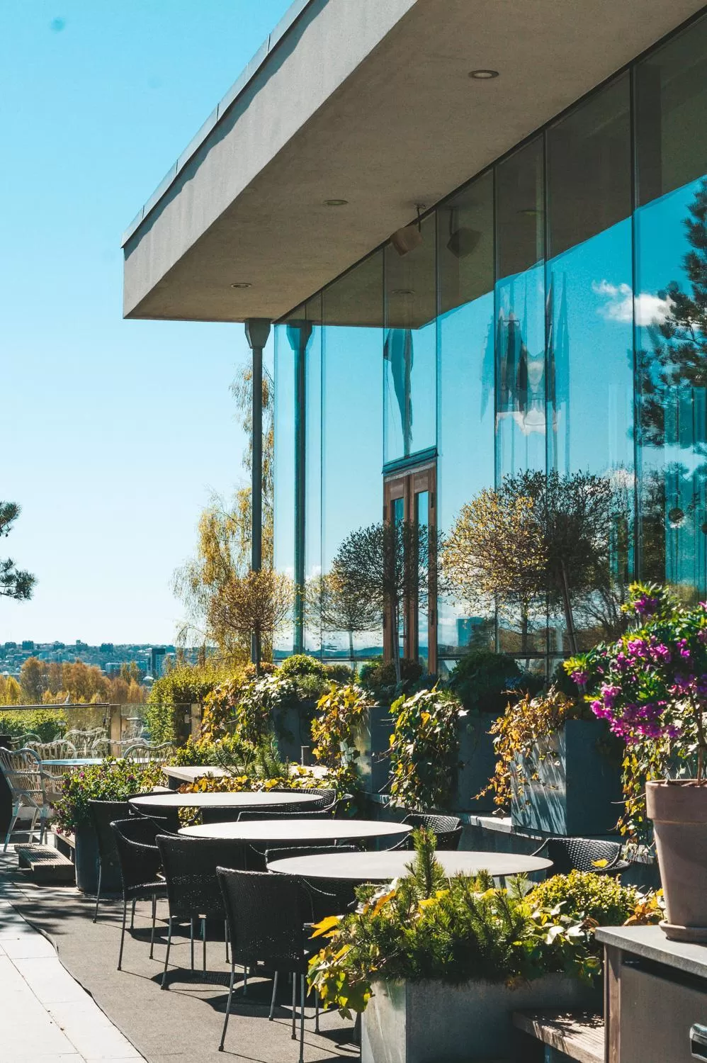 Patio in Sankt Jörgen Park