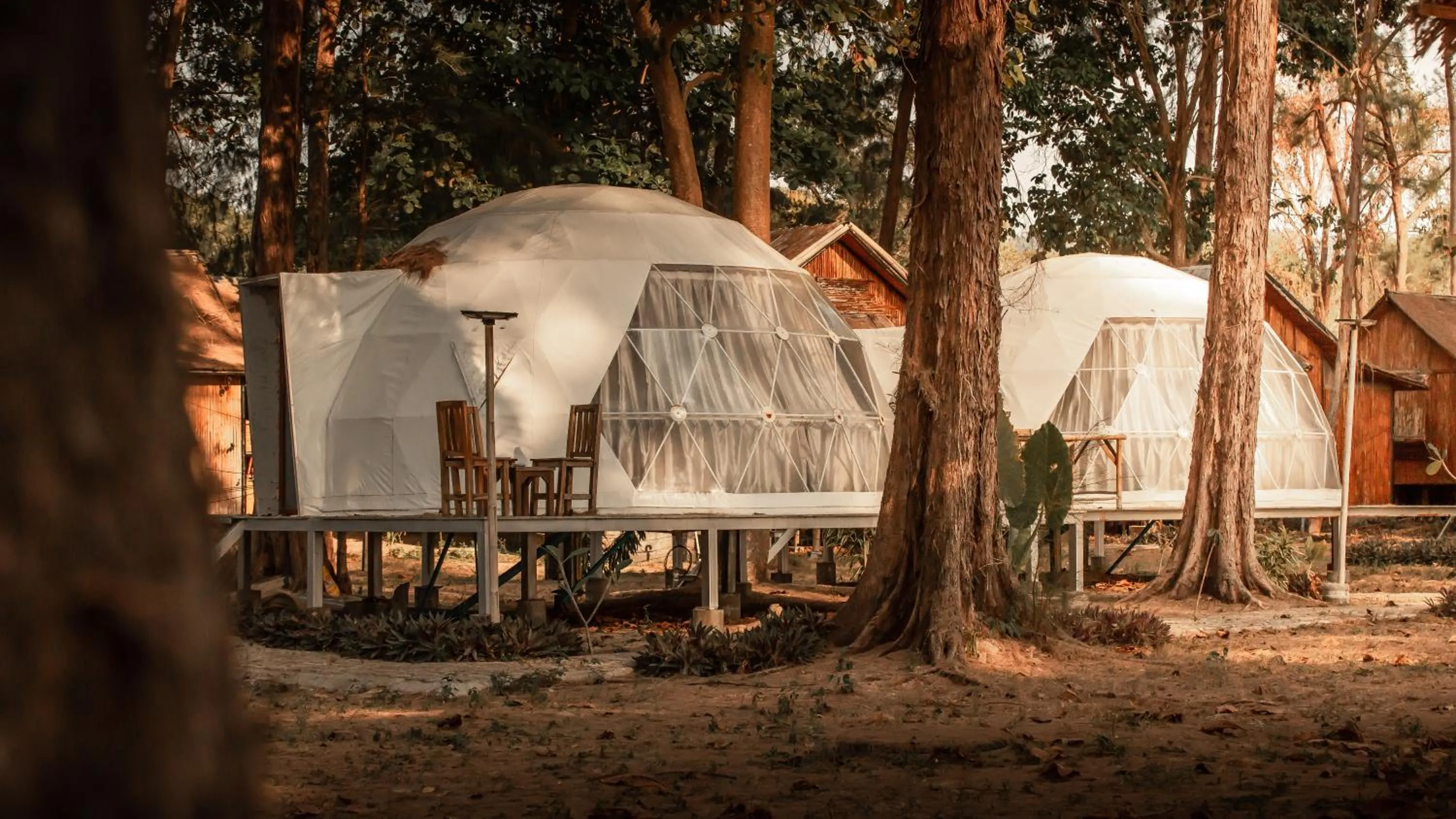 Natural landscape in Eco Lanta Hideaway Beach Resort