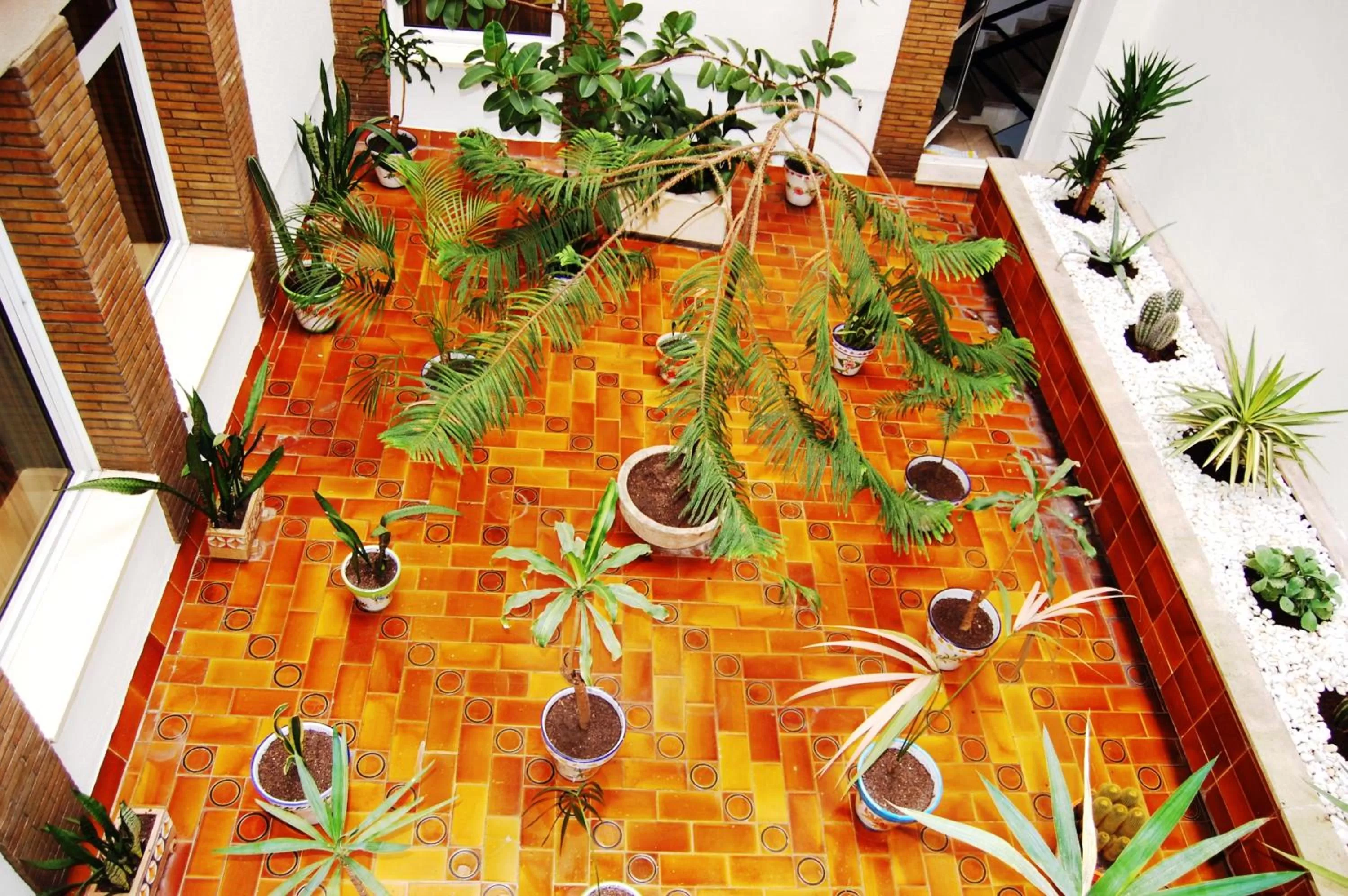 Garden in Hotel Pasarela