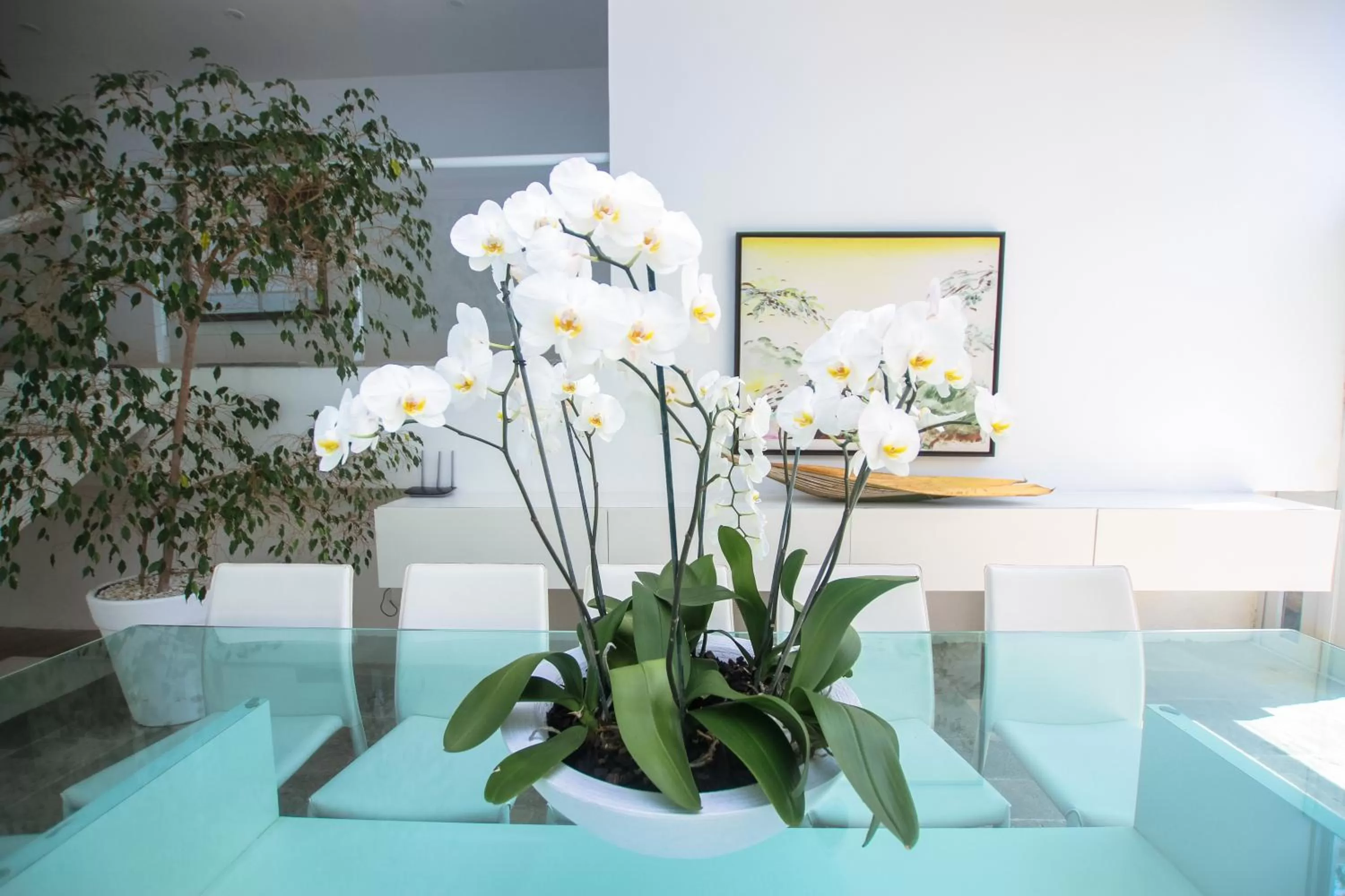 Living room in Guest House Guarujá Hotel Boutique