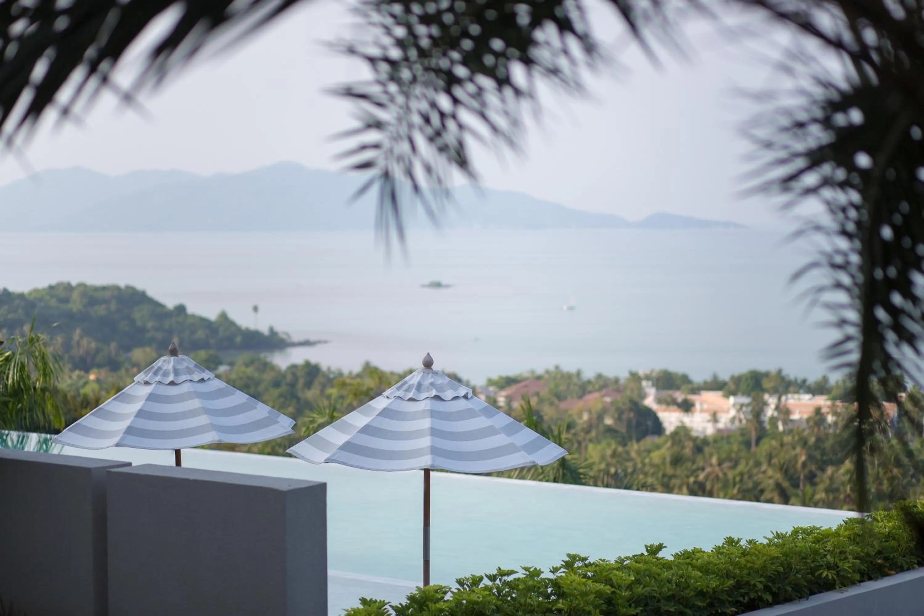 Garden view in Mantra Samui Resort - Adults Only
