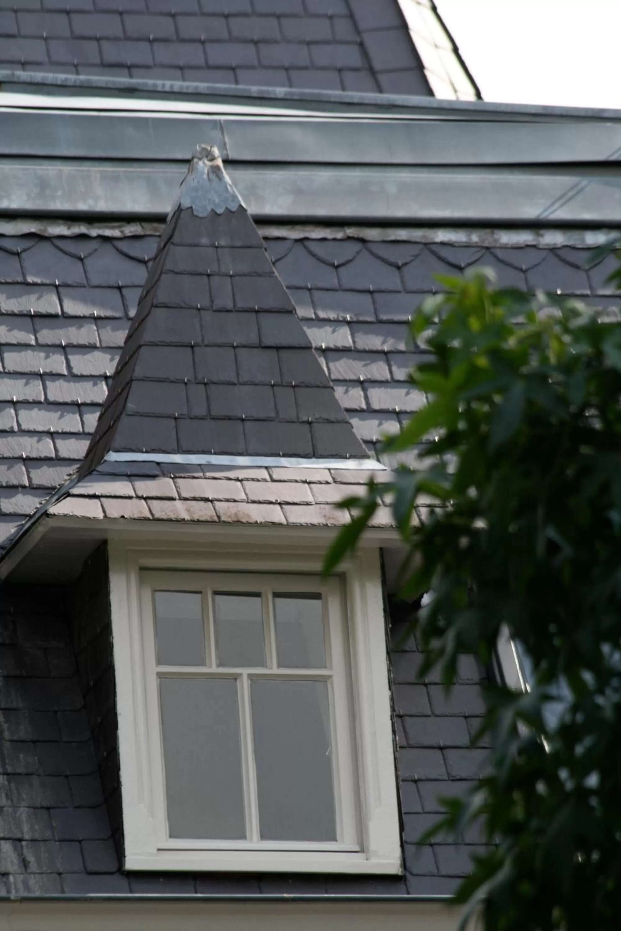 Other in Hotel De Villa