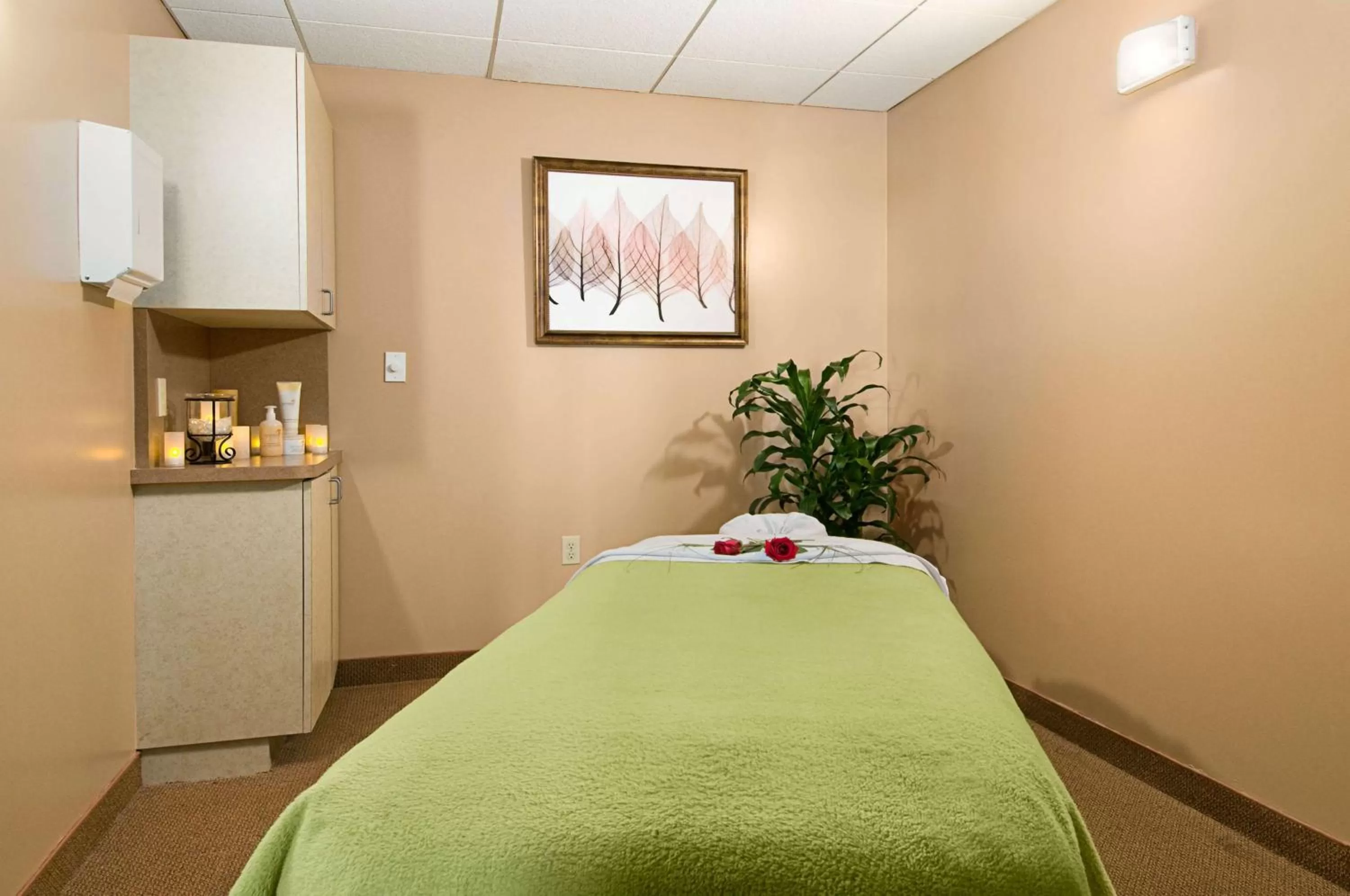 Spa and wellness centre/facilities in Hilton Phoenix Tapatio Cliffs Resort