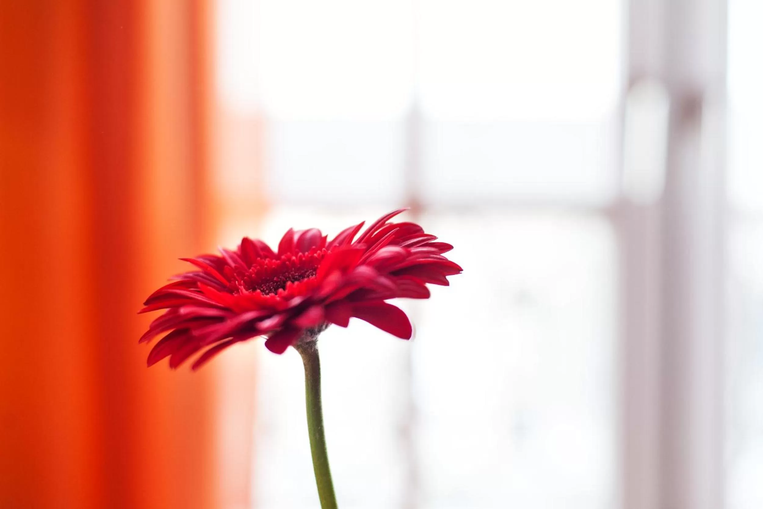 Other in Hotel am Tiergarten