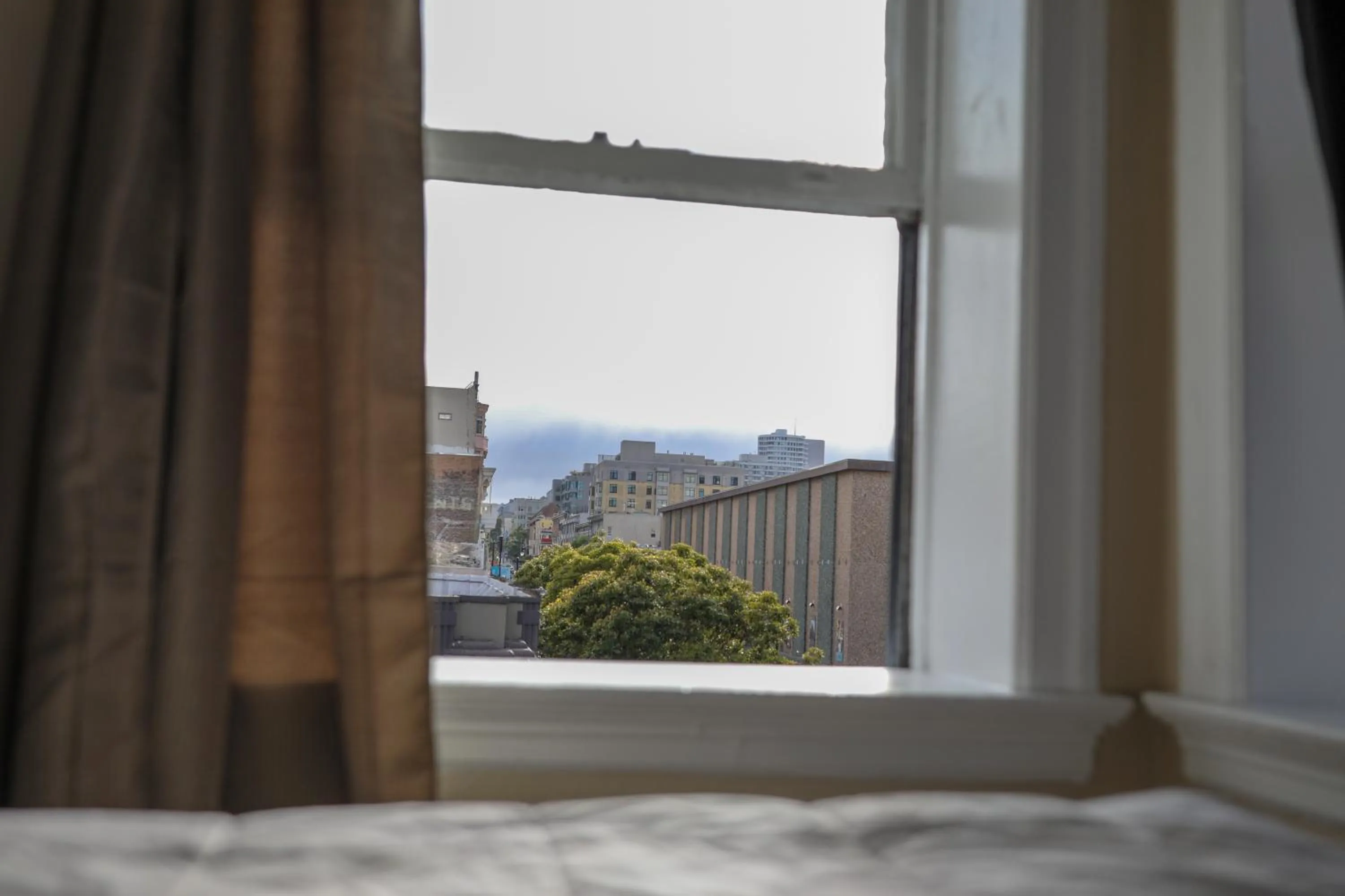 City view in The Adrian