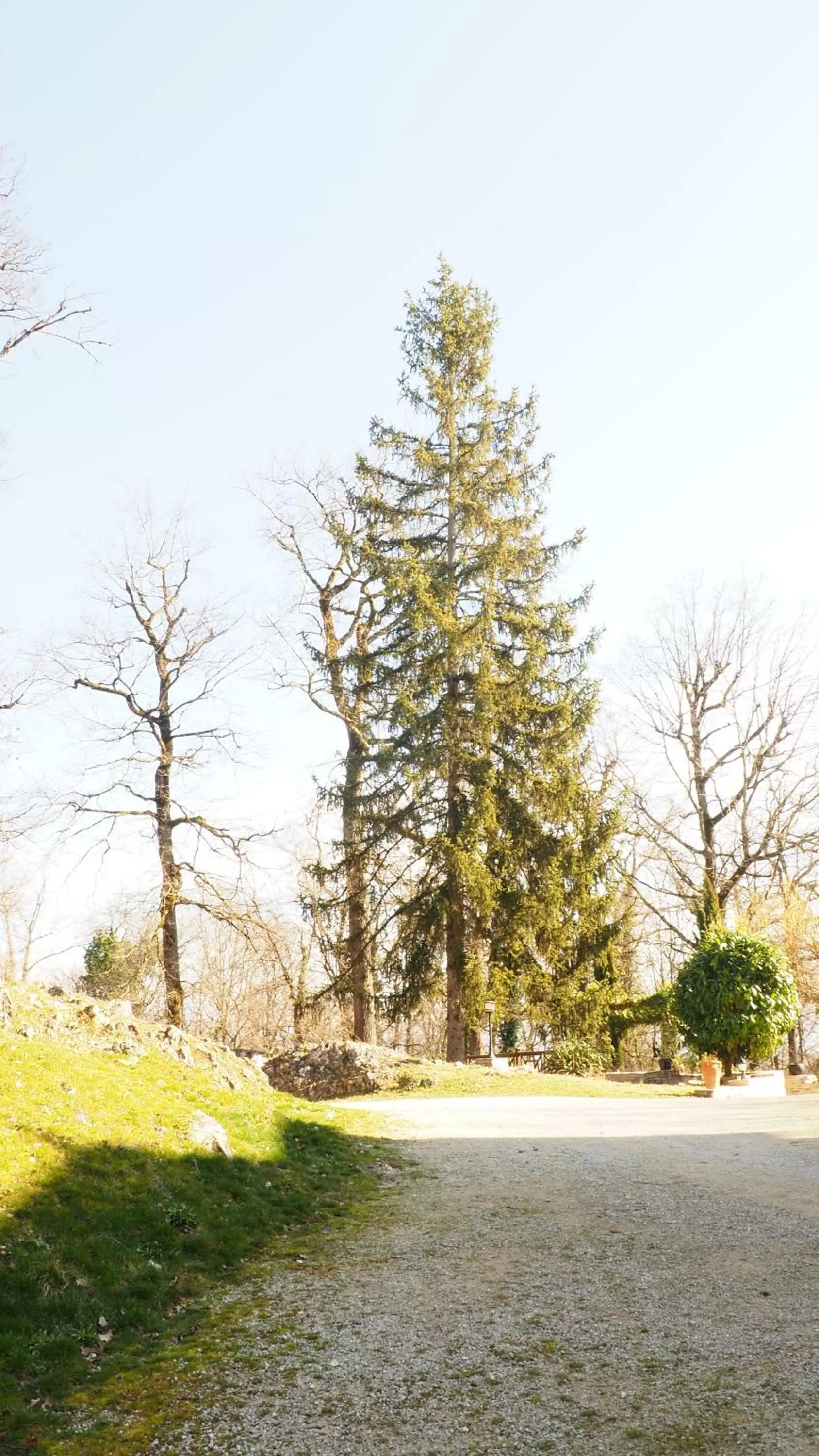 La Garenne de Morestel