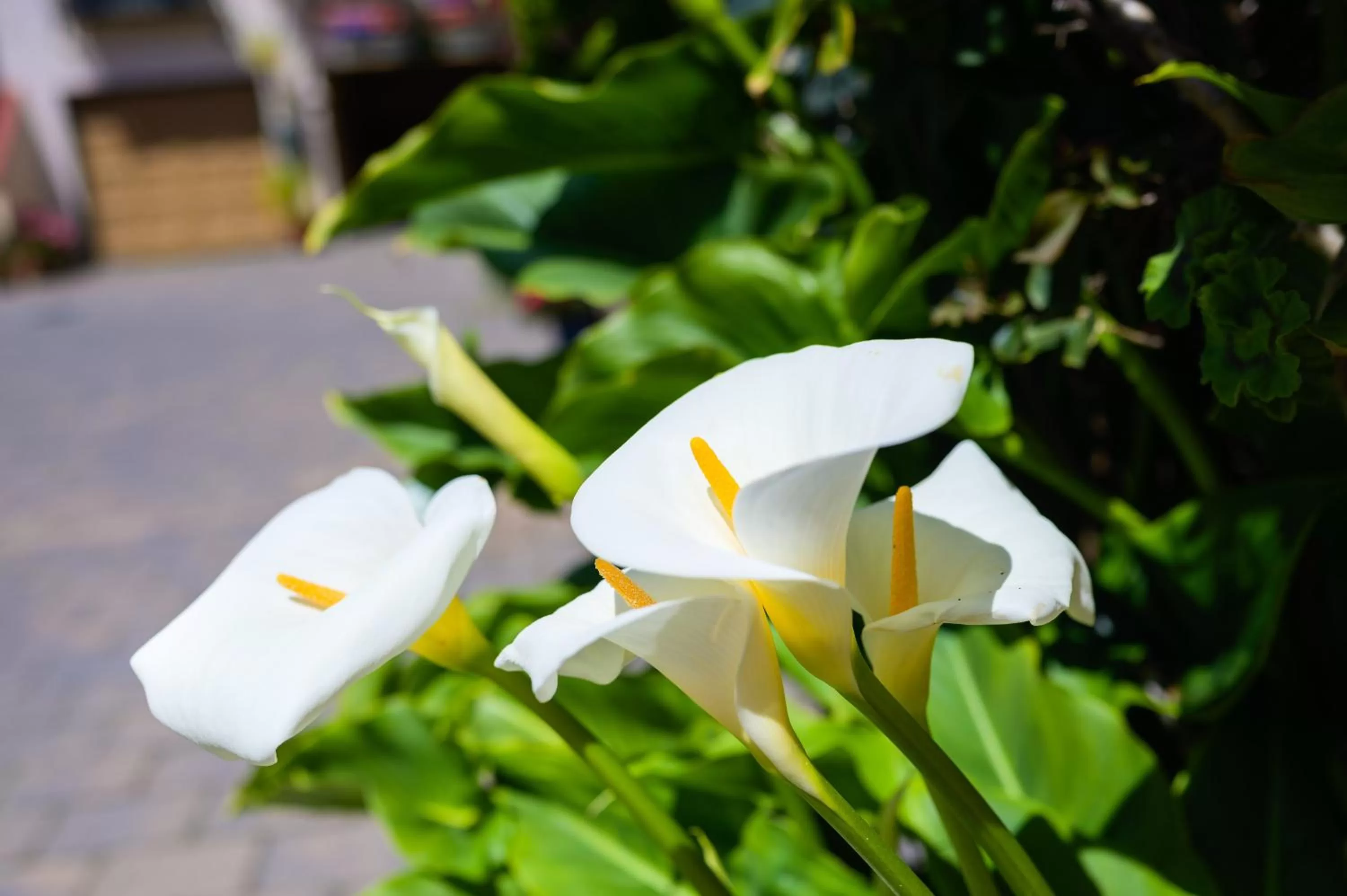 Facade/entrance in Marina Motel