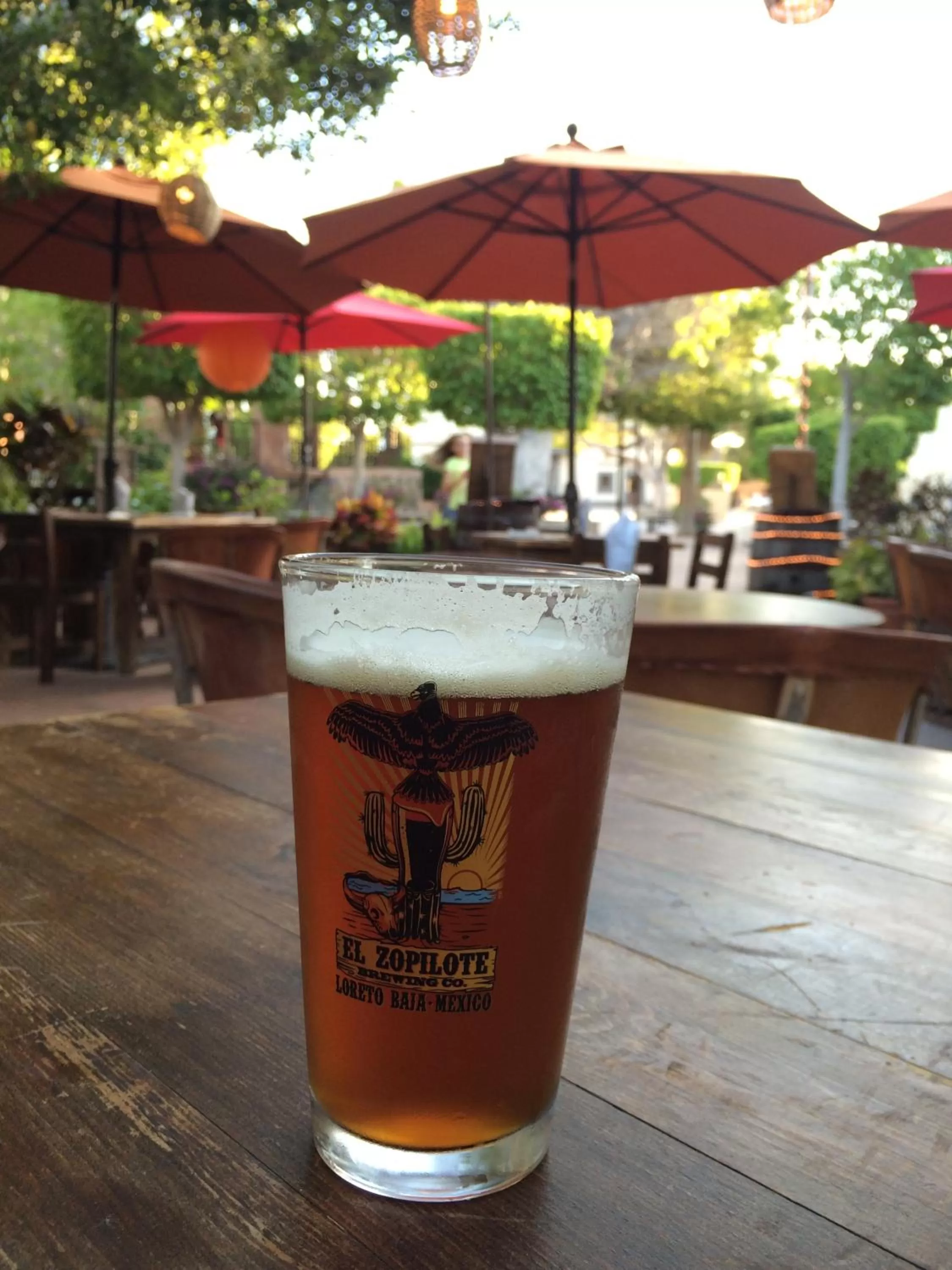 Restaurant/places to eat in Hotel 1697 Loreto