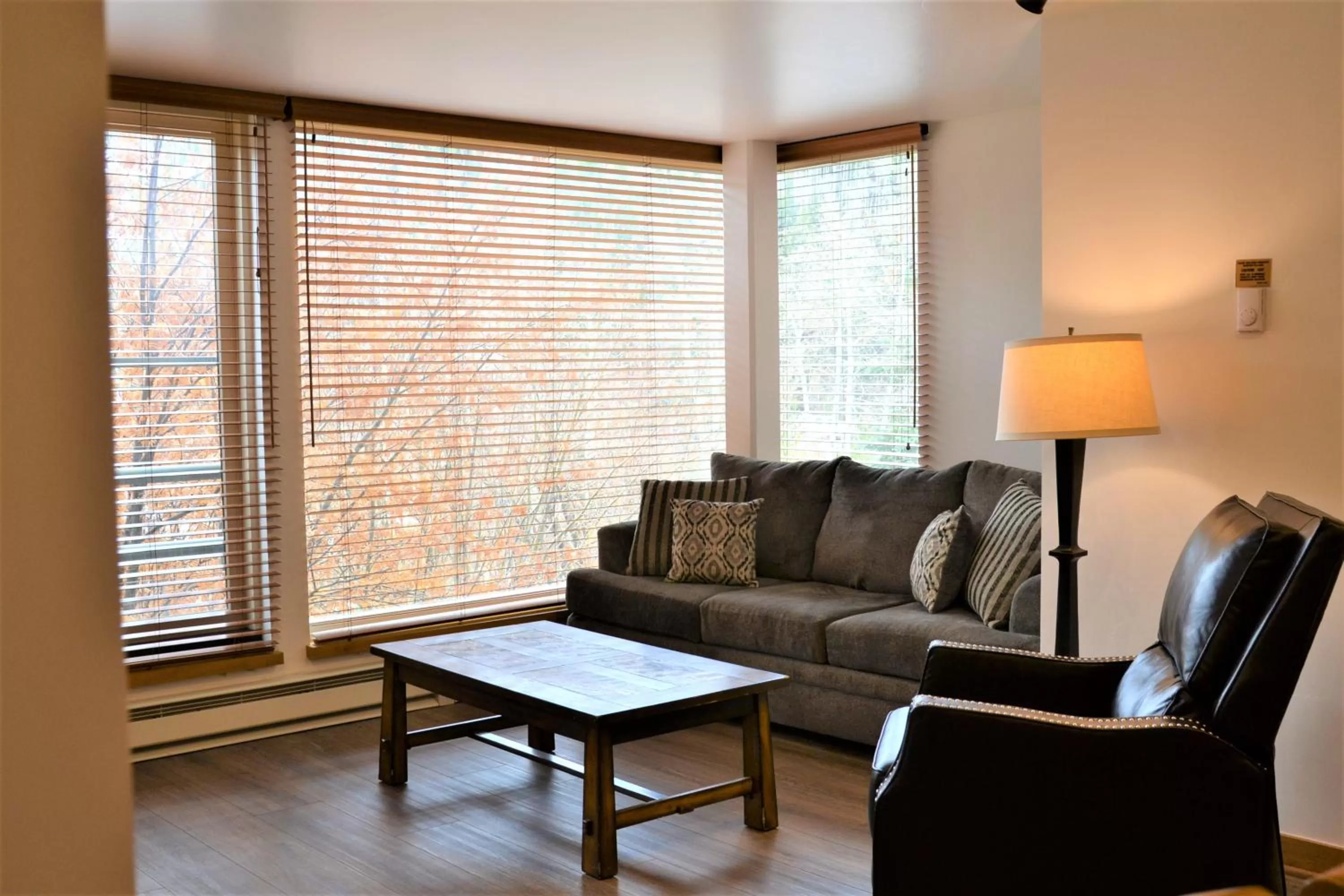 Living room in Simba Run Vail Condominiums