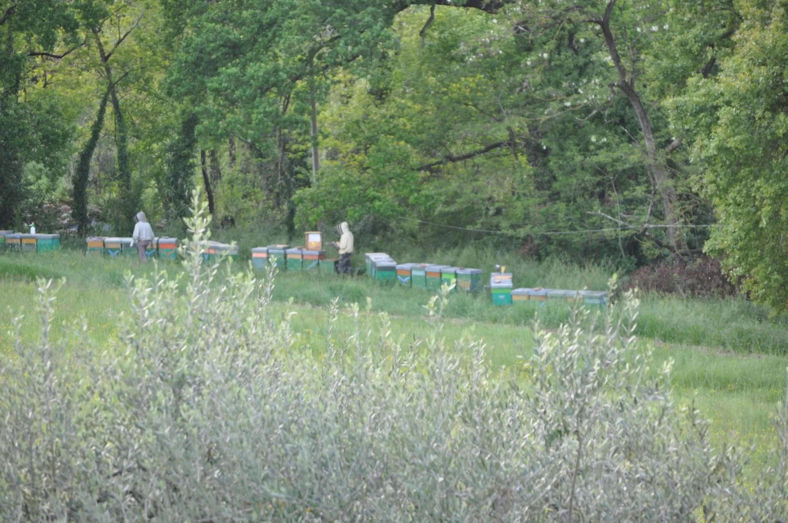 People in Armonie di Villa Incontri B&B