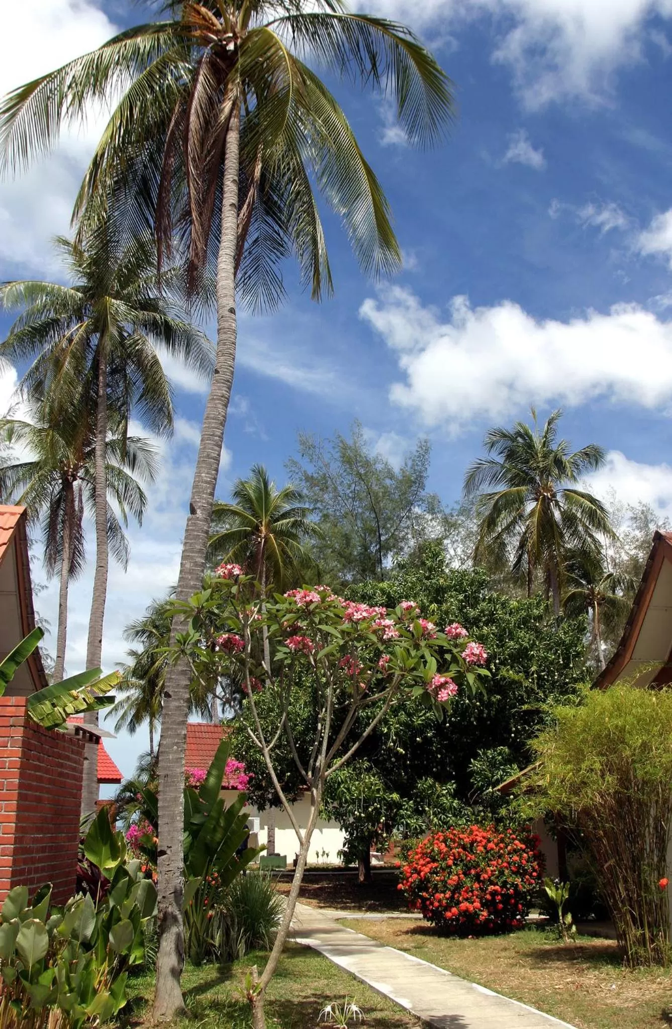 Garden in Frangipani Langkawi Resort