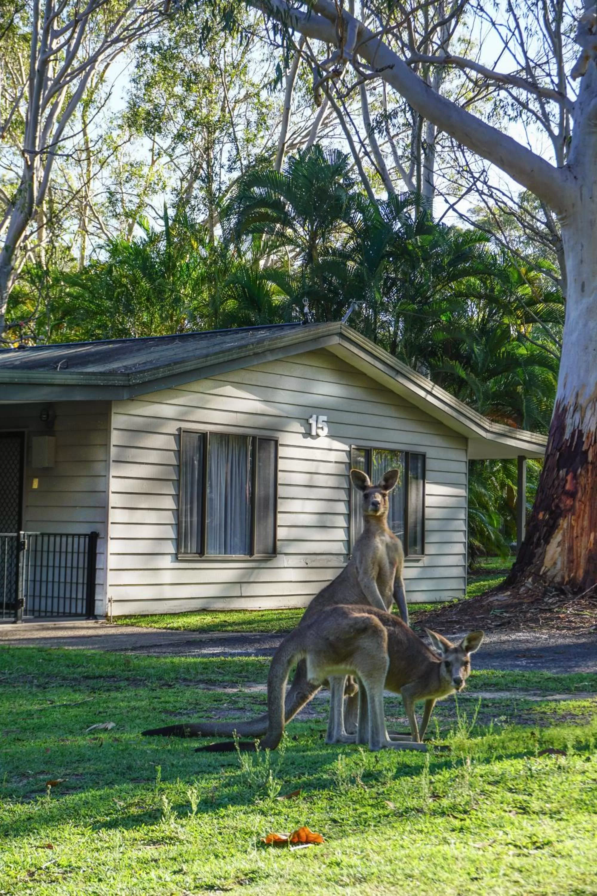 Facade/entrance in Noosa North Shore Retreat