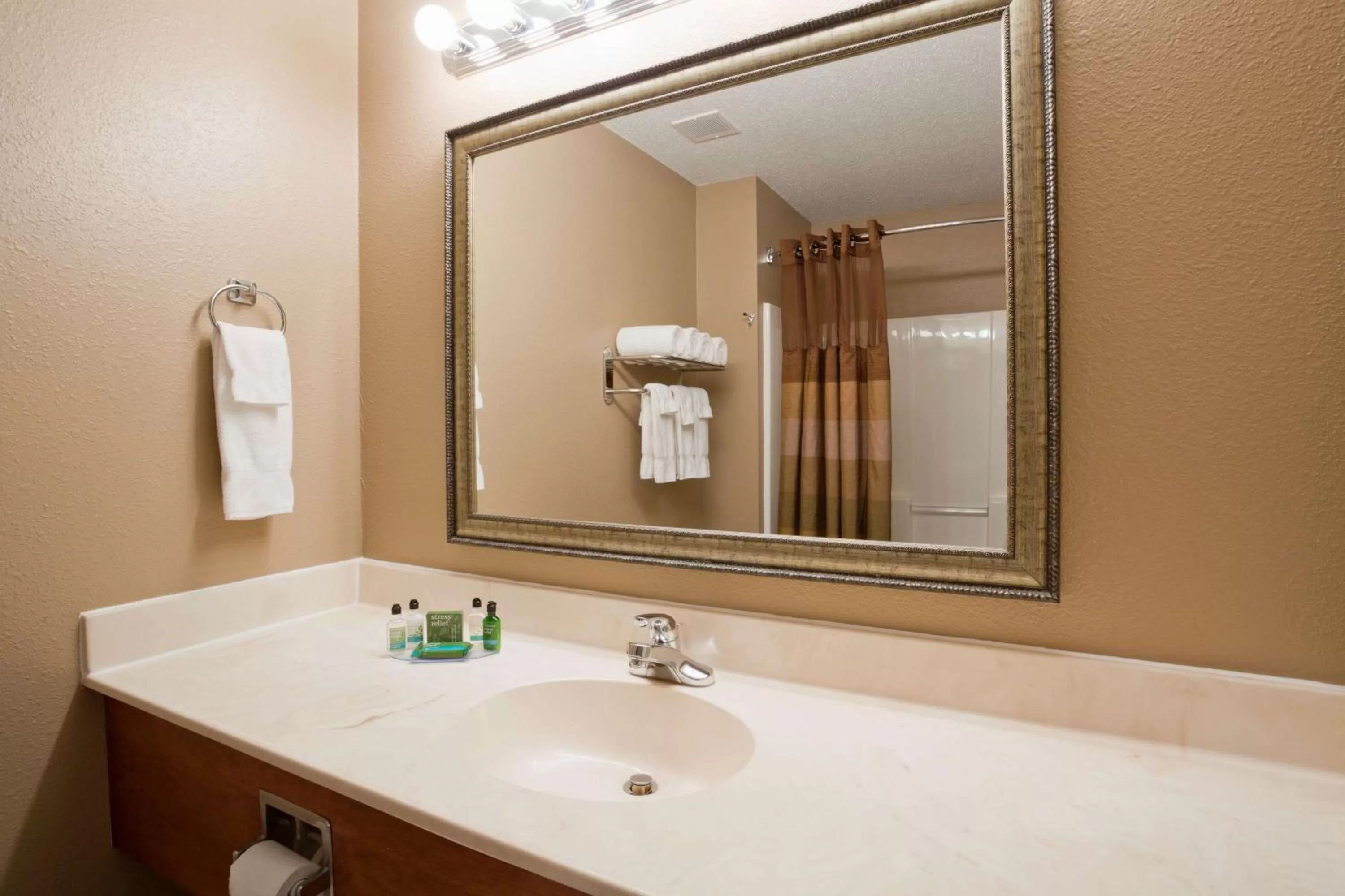 Bathroom in GrandStay Hotel & Suites Ames