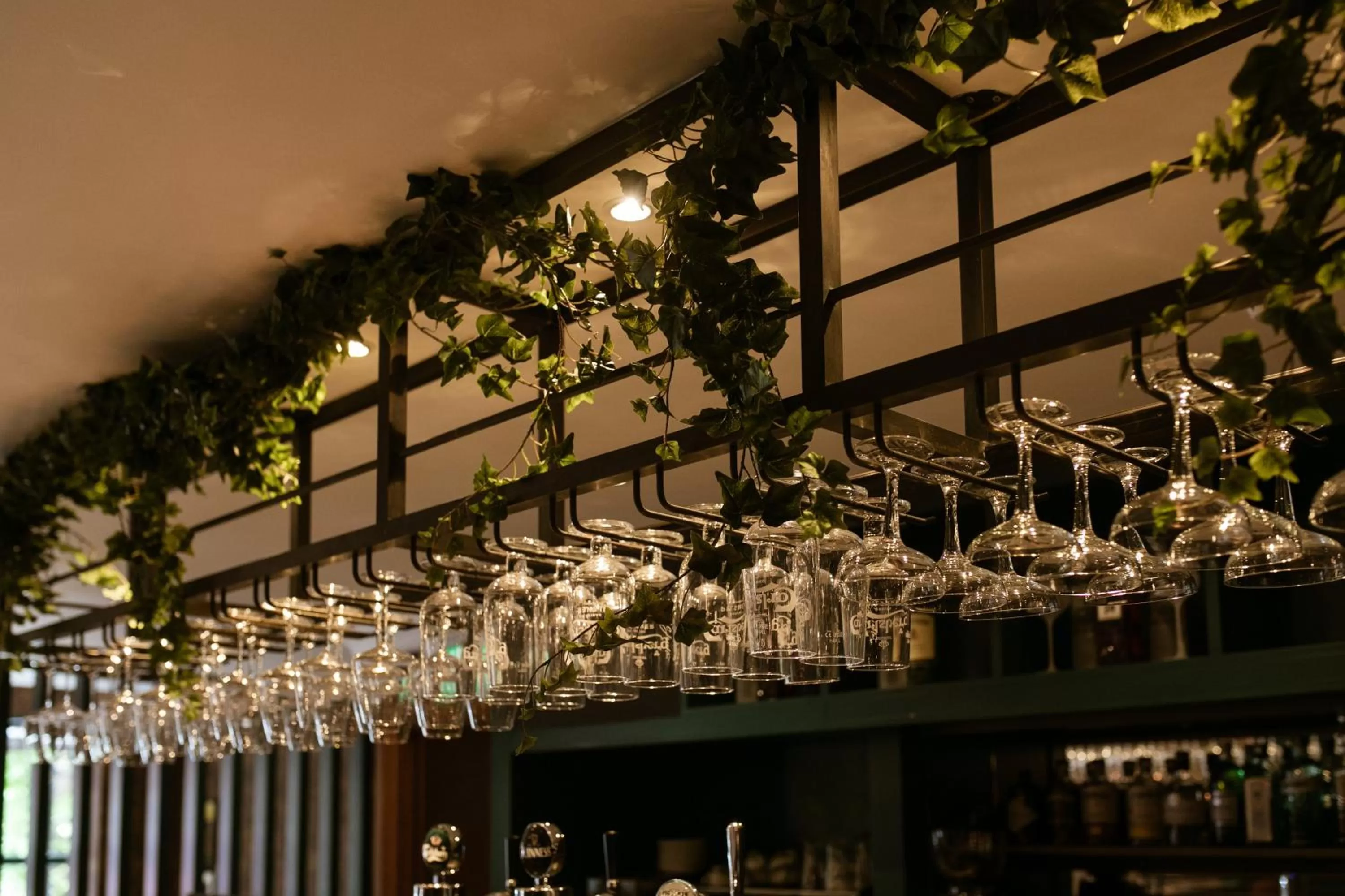 Restaurant/places to eat in The Malone Hotel