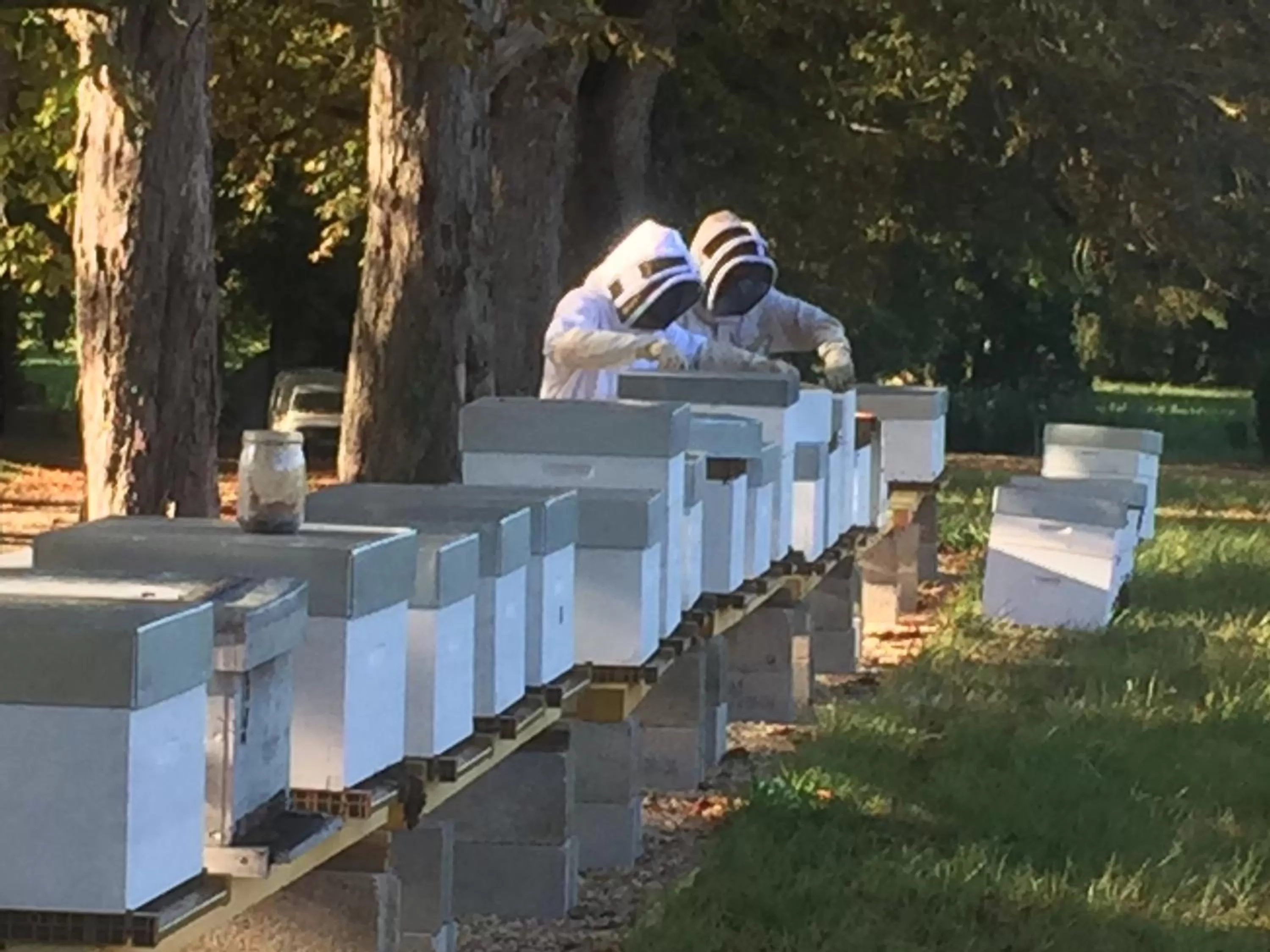 Natural landscape in Manoir de la Rémonière
