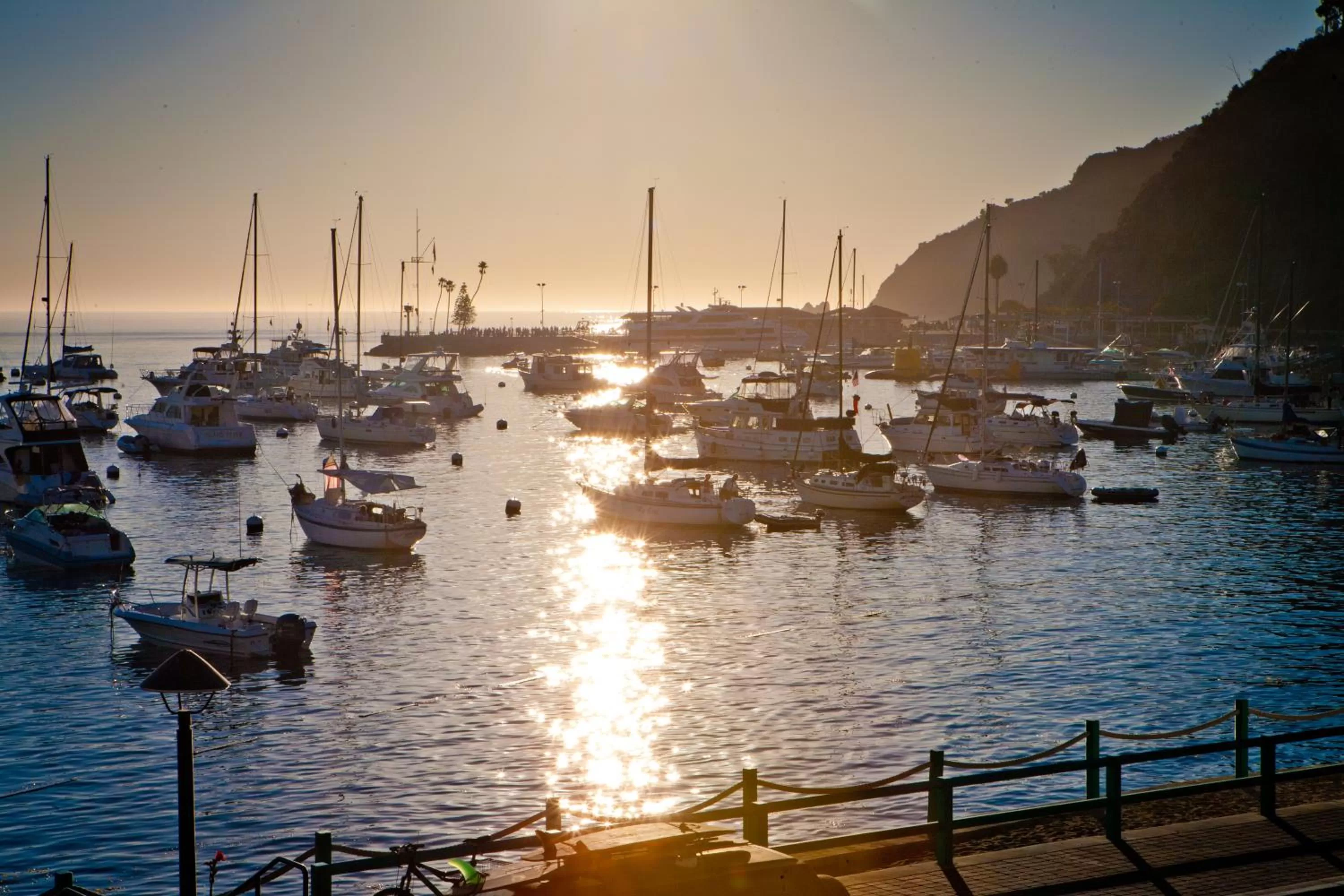 Natural landscape in Hotel Metropole