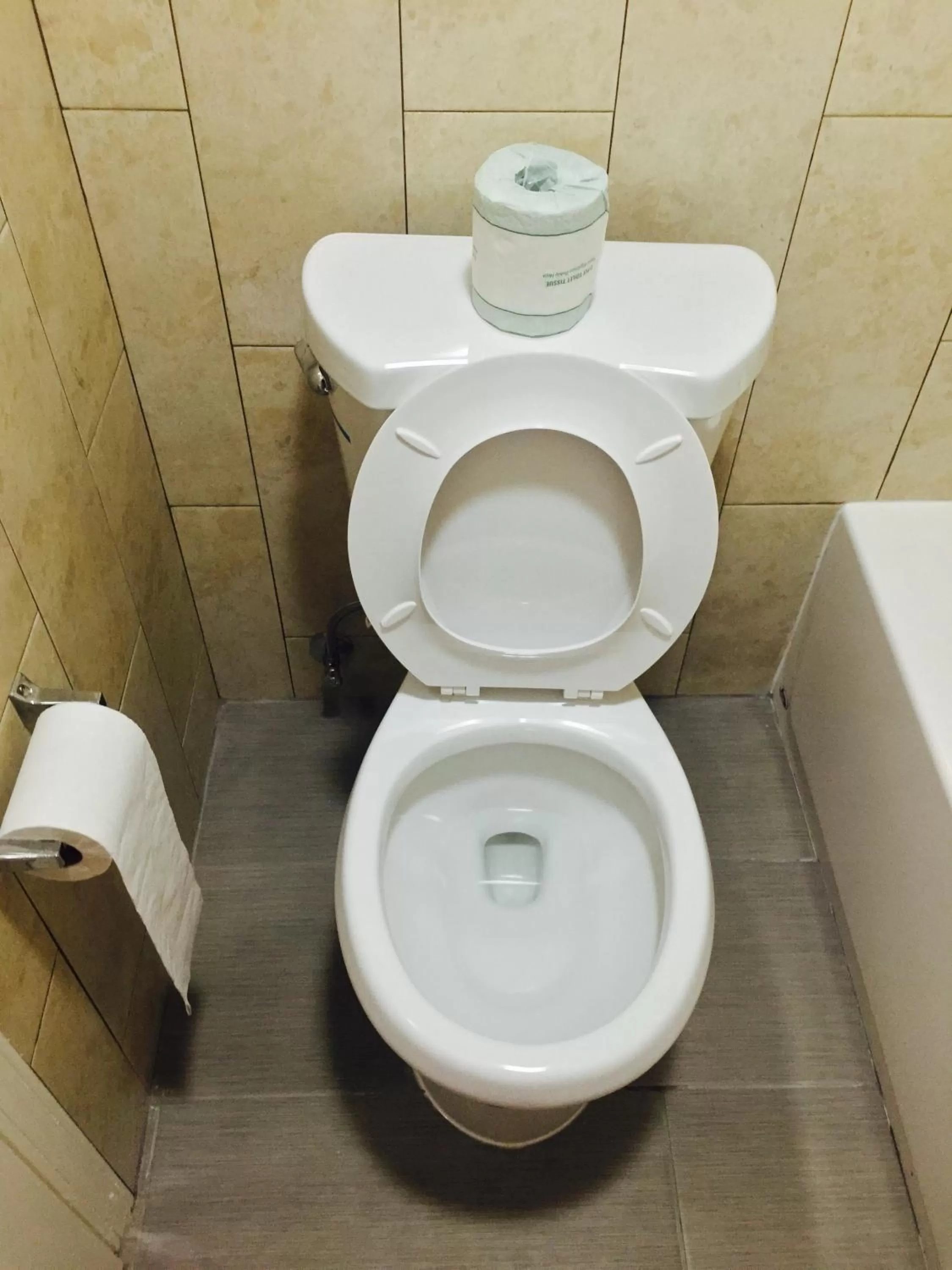 Toilet in Deluxe Inn