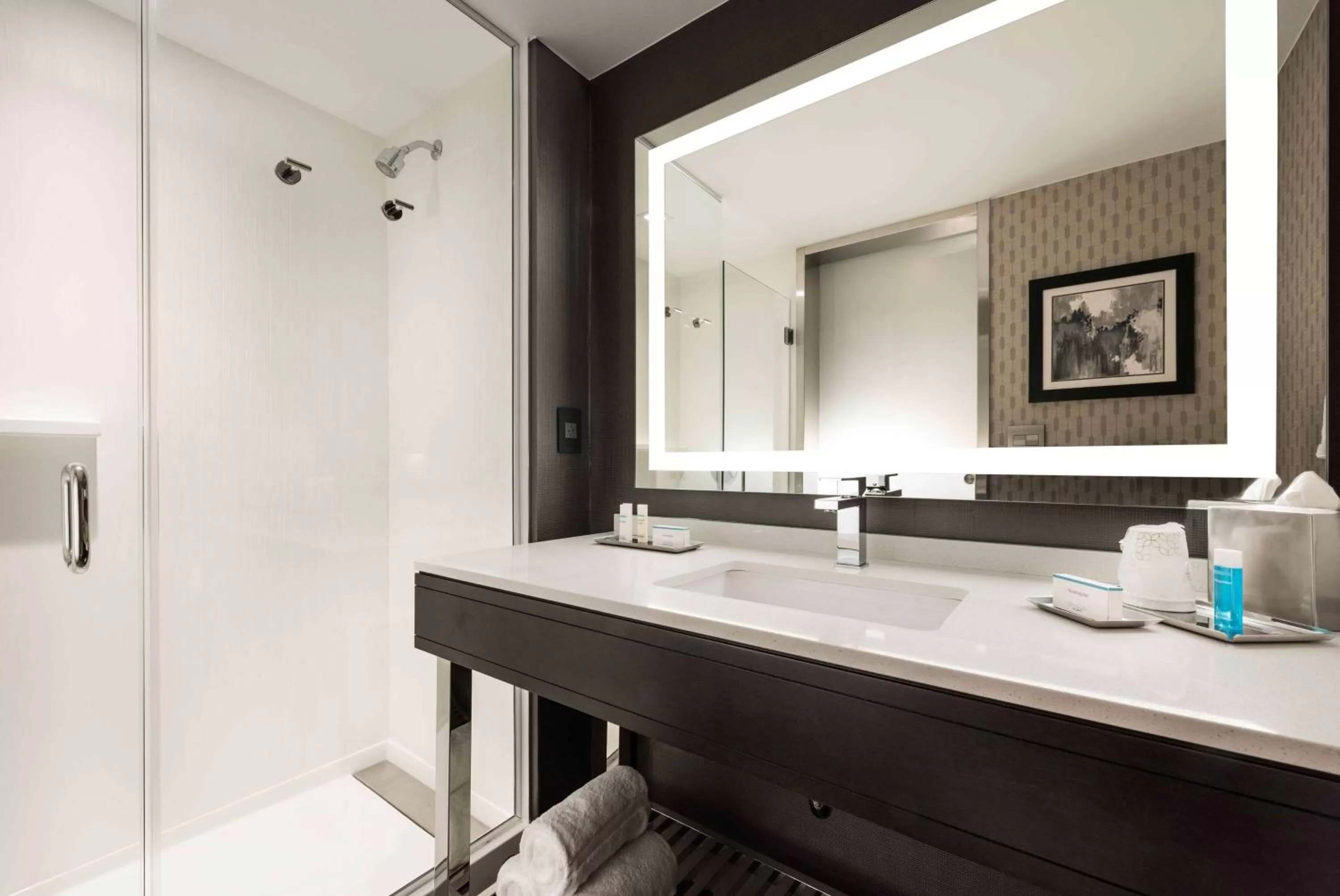 Bathroom in Hilton Garden Inn Foxborough Patriot Place