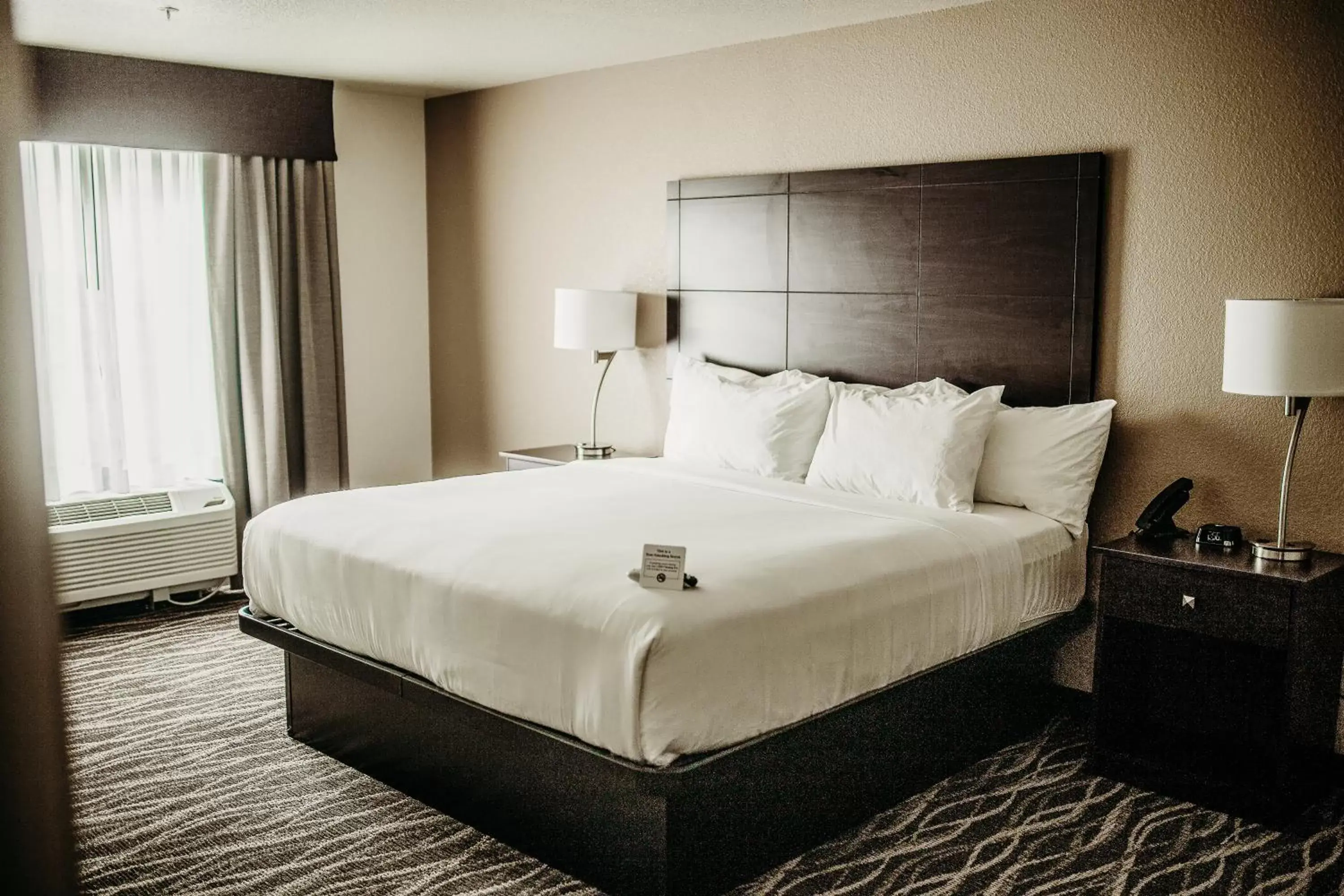 King Room - Disability Access in Cobblestone Hotel & Suites International Falls King Room - Disability Access in Cobblestone Hotel & Suites International Falls