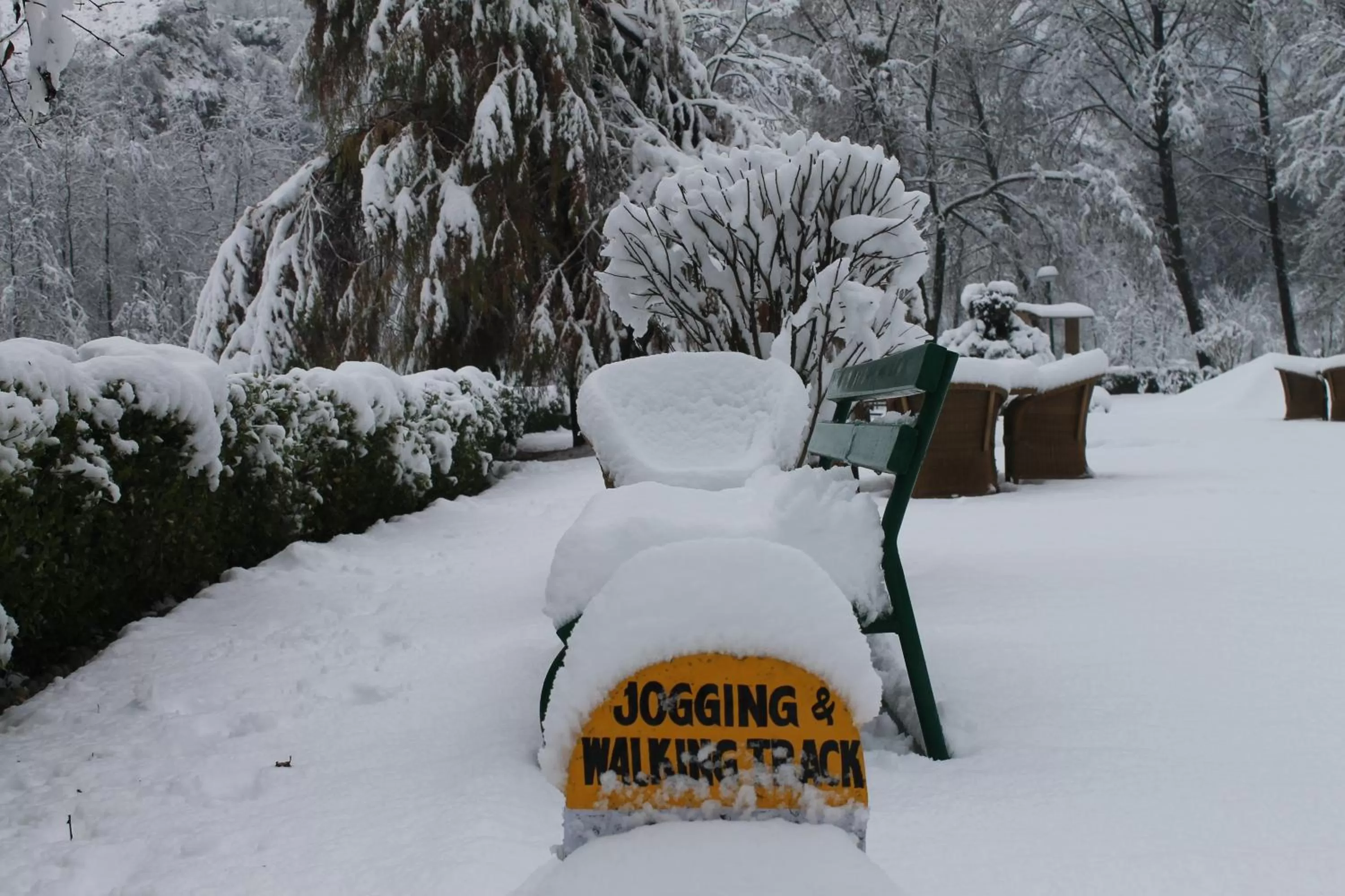 Winter in Span Resort and Spa, Manali