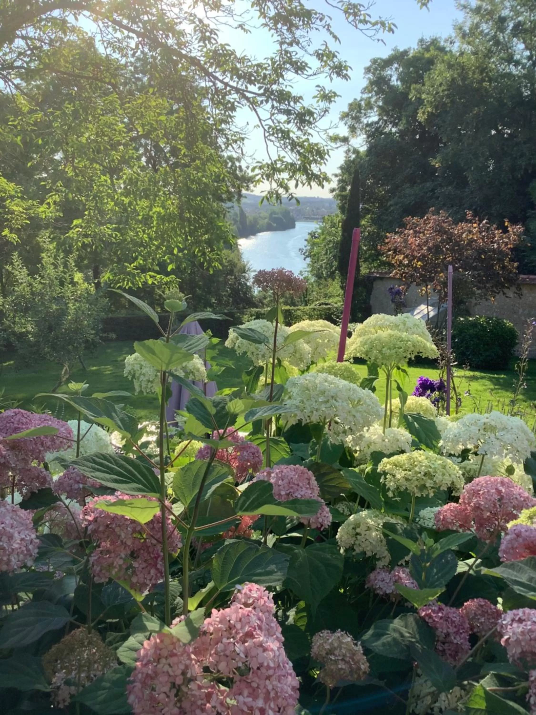 River view in Toute Une Histoire près de Fontainebleau