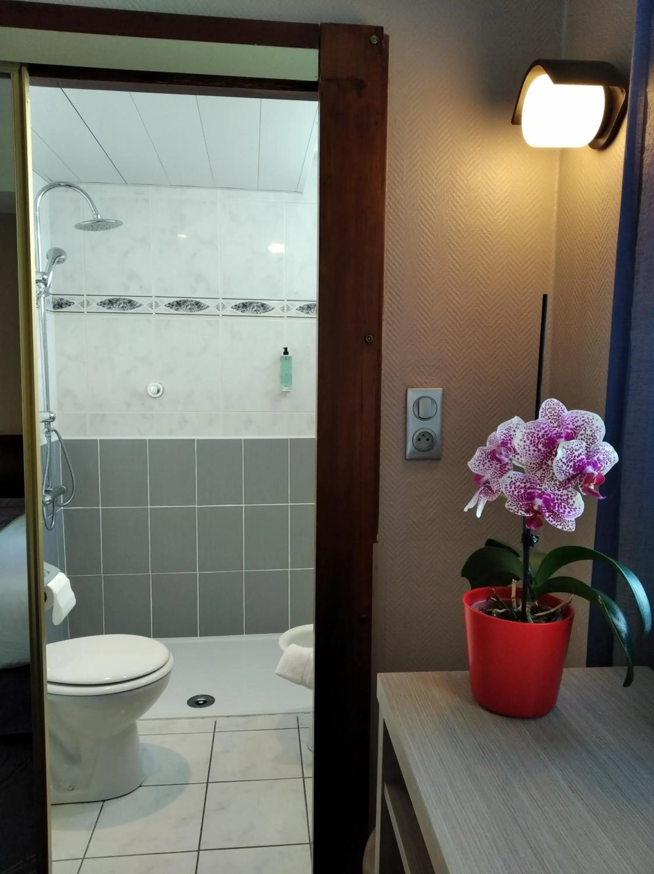 Bathroom in Hôtel Christina Lourdes